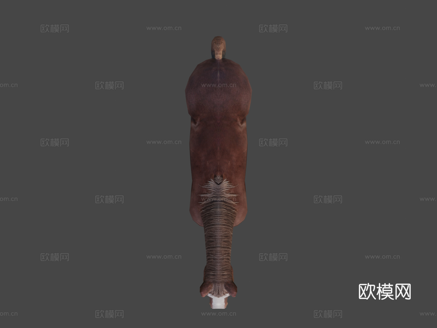 马绑定3d模型
