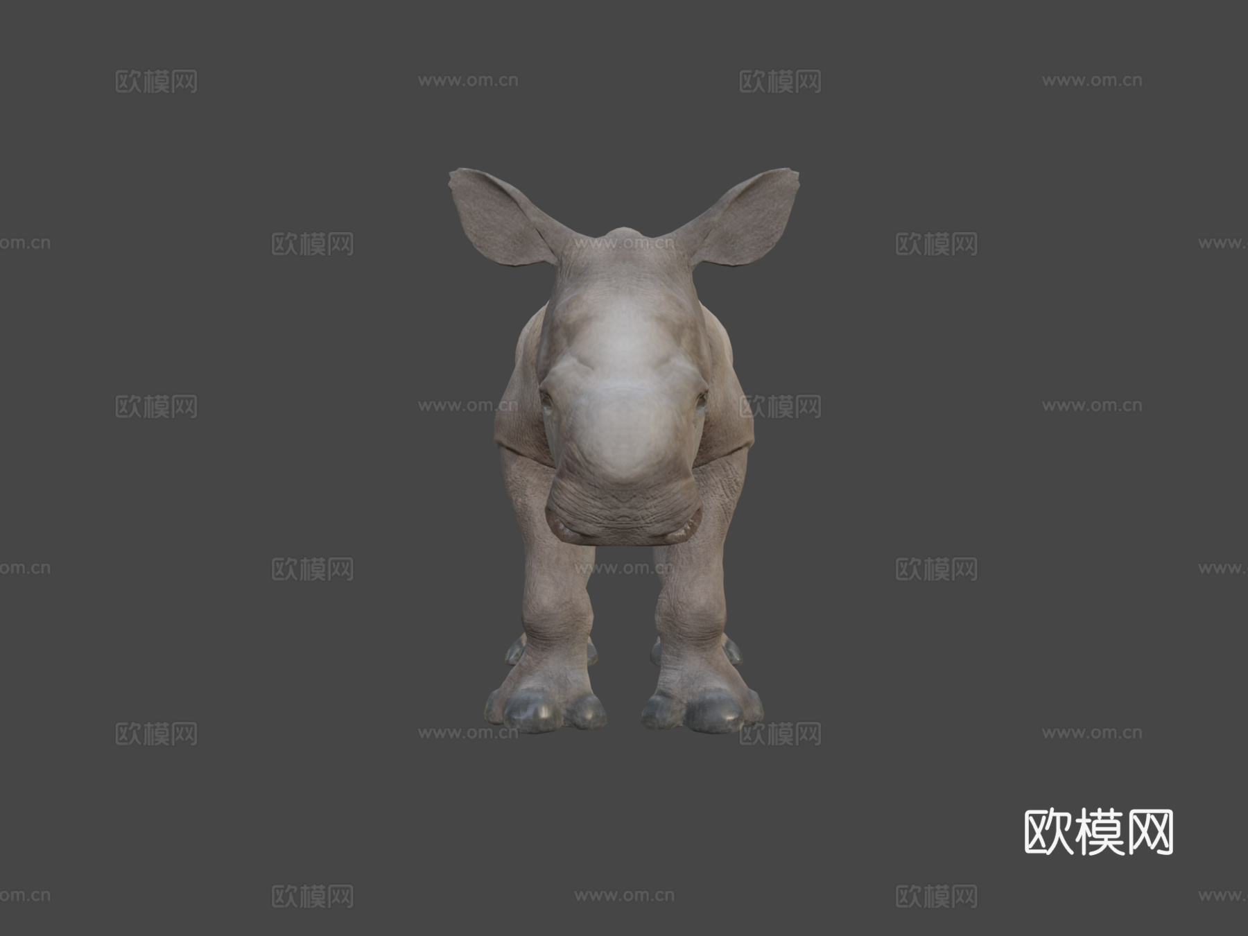 白犀牛宝宝静态姿势三角化3d模型
