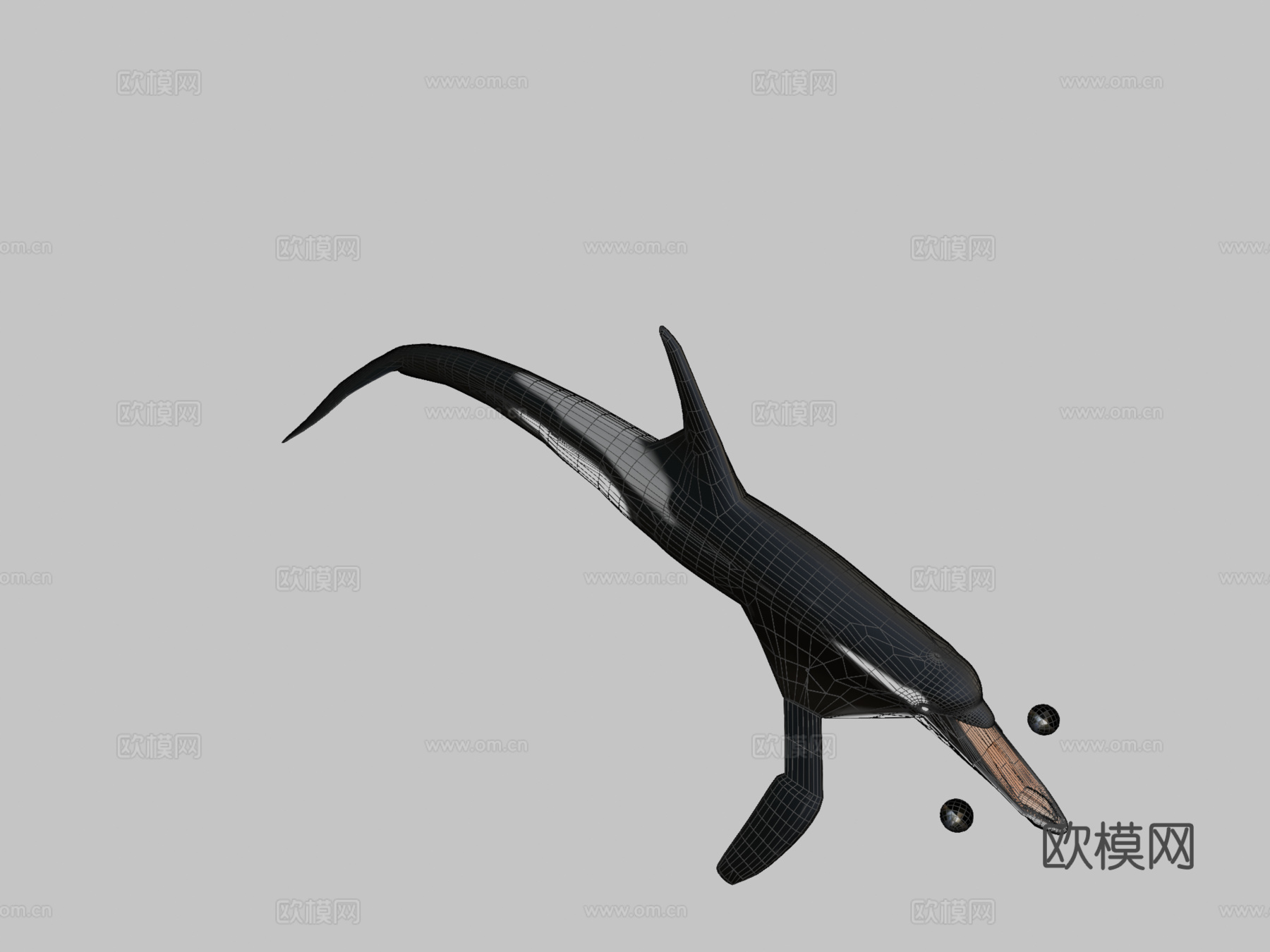 虎鲸3d模型