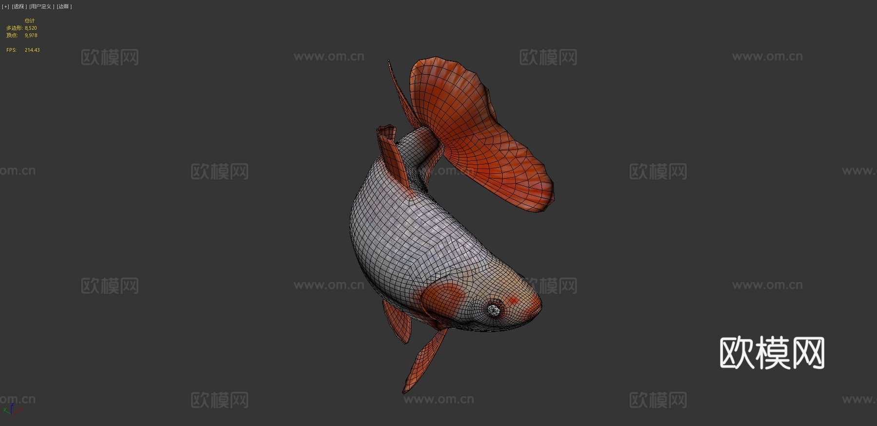 地金金鱼3d模型