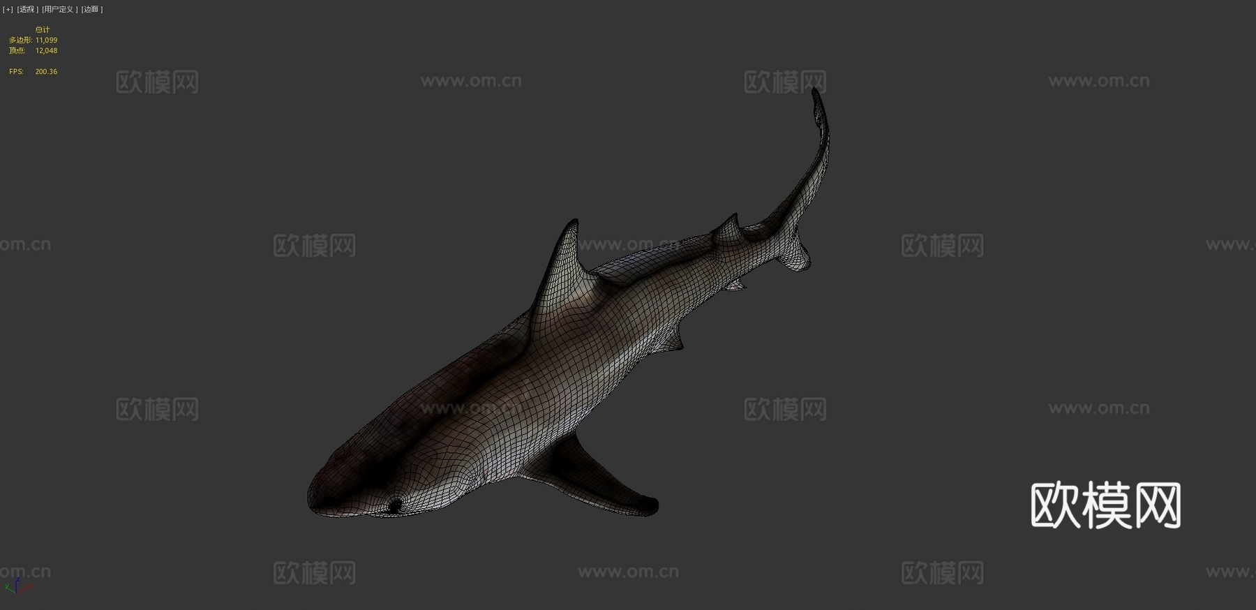 鲨鱼3d模型