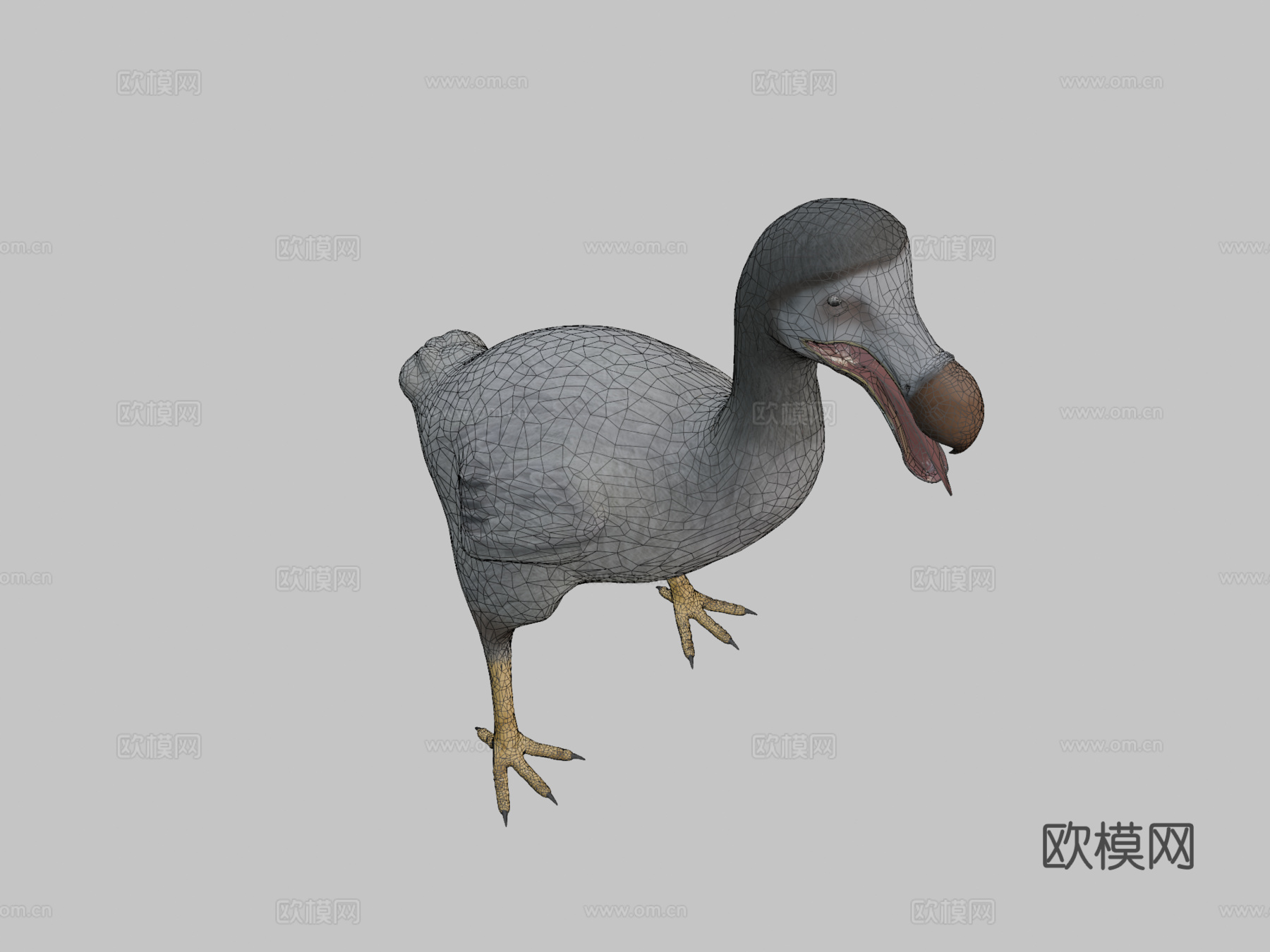渡渡鸟[灭绝鸟类]3d模型