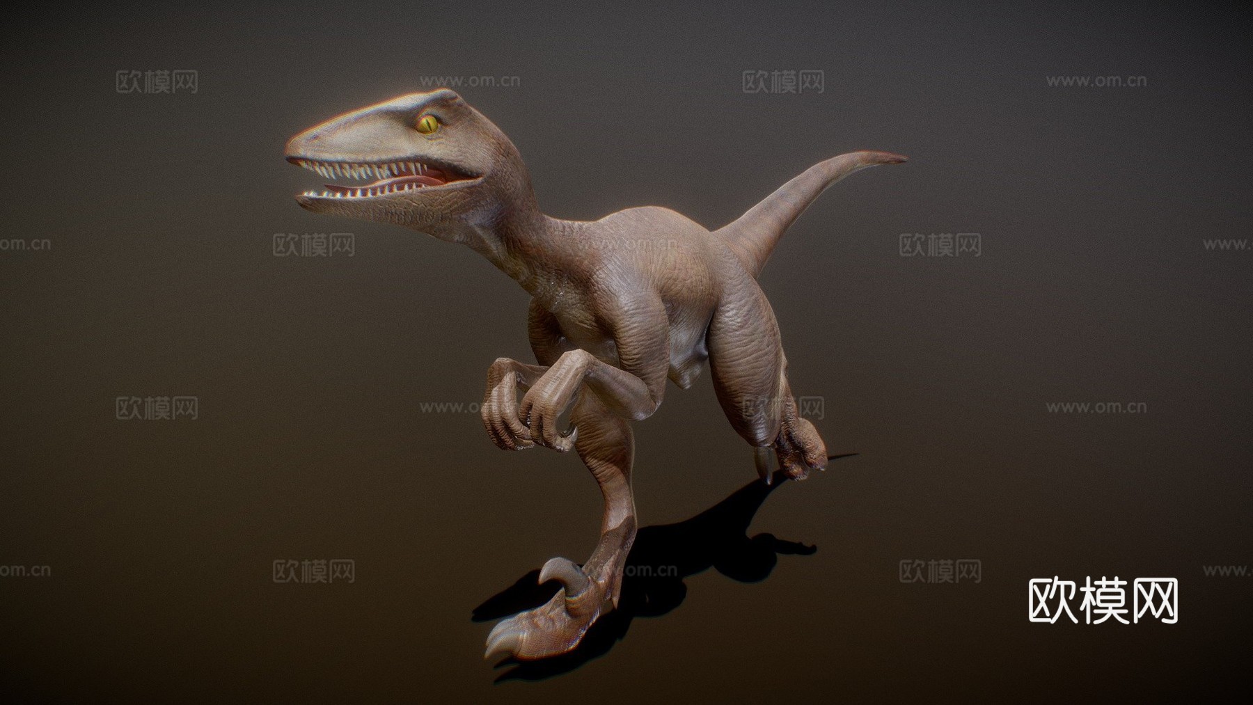 迅猛龙3d模型