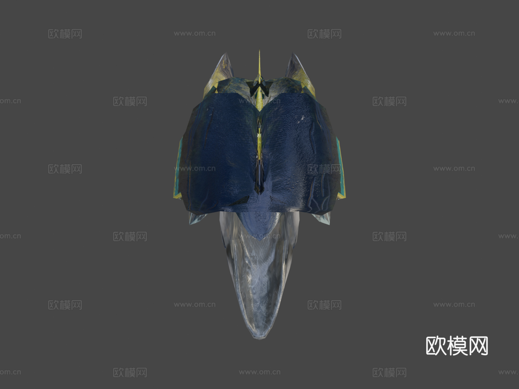 金枪鱼3d模型