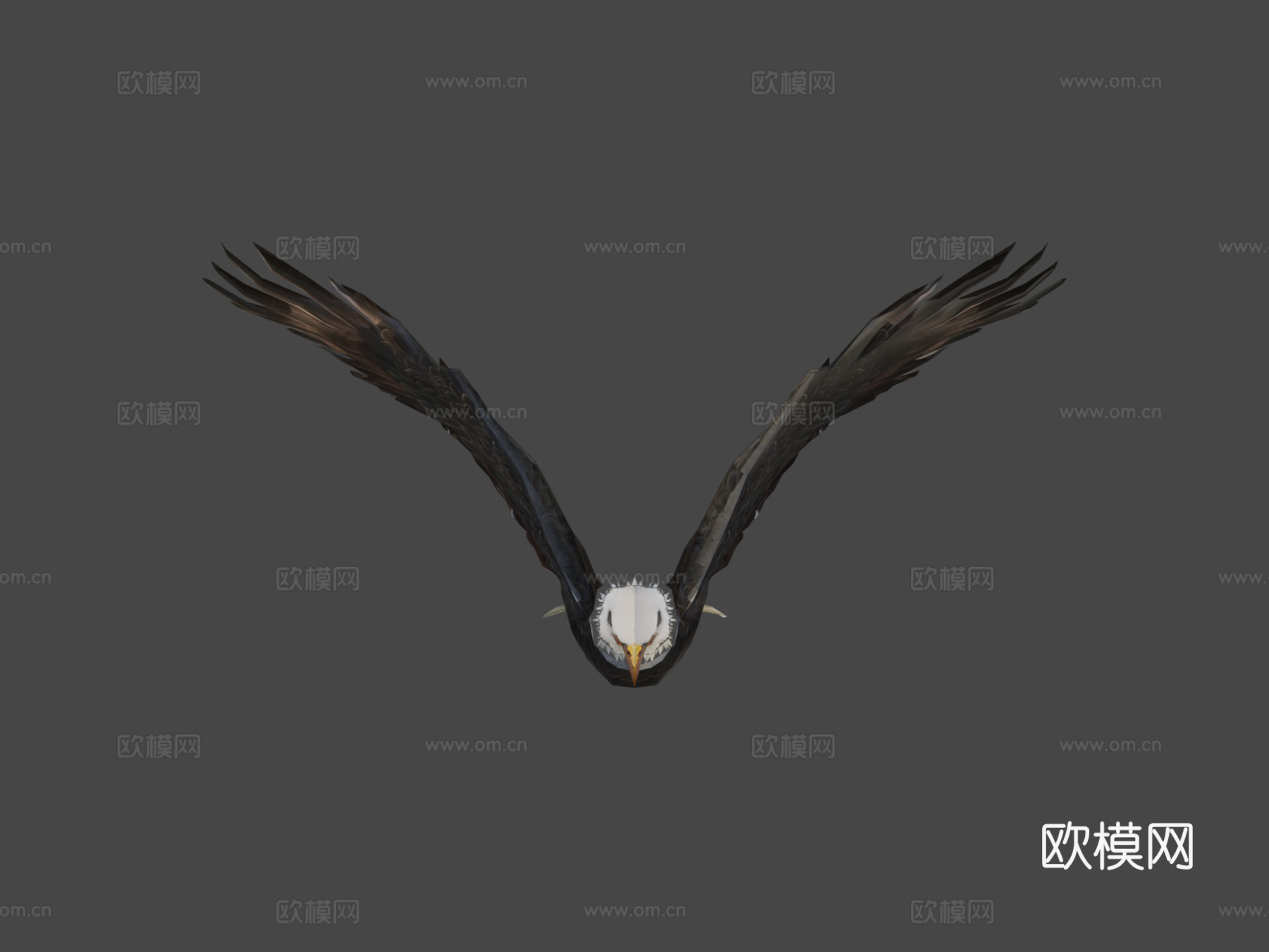 动画鹰3d模型