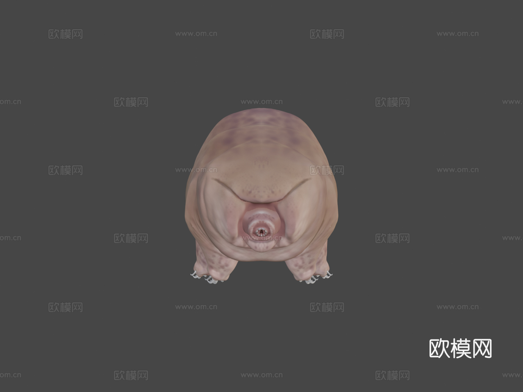 水熊虫3d模型