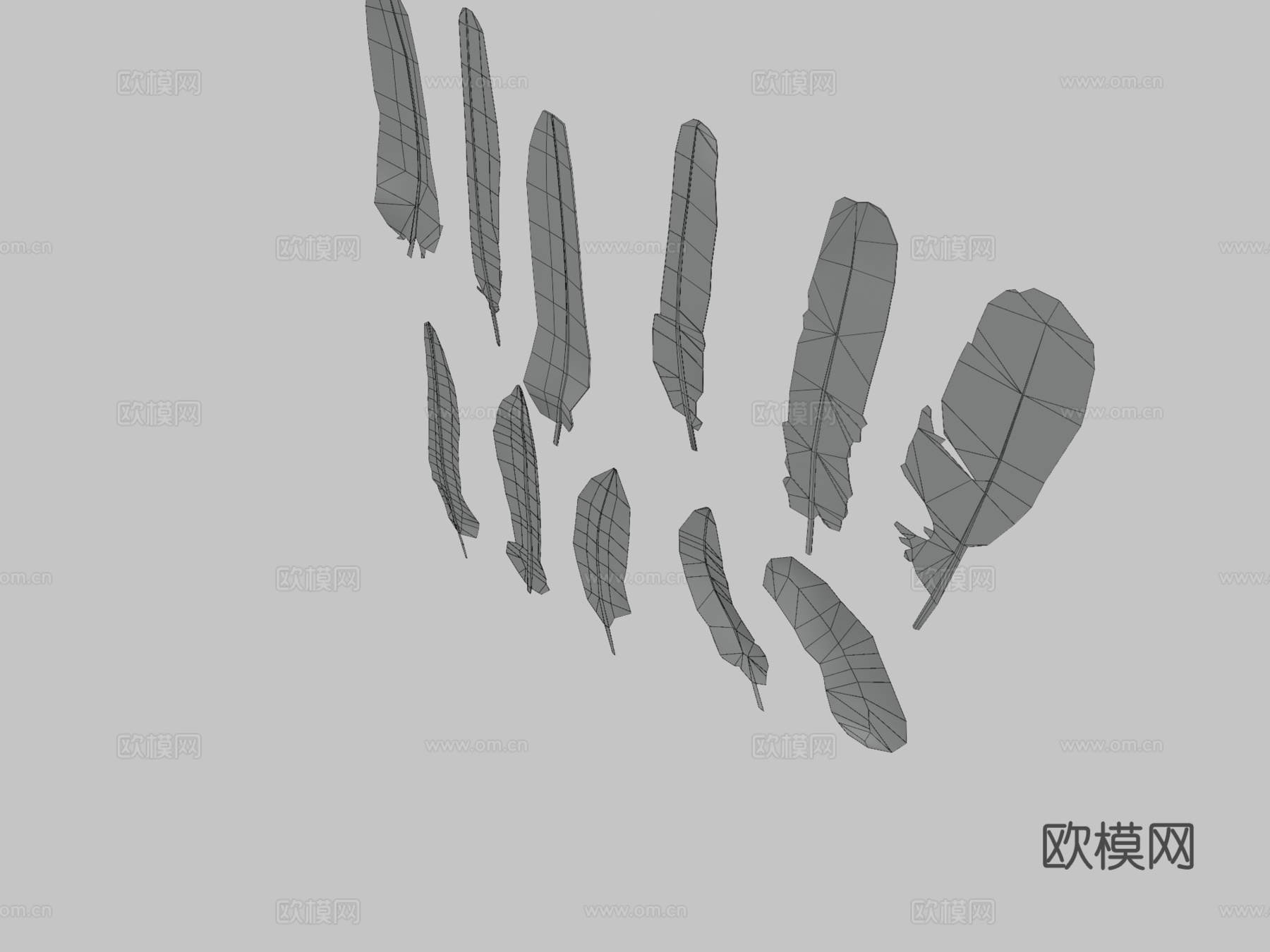 鸟类羽毛图集3d模型