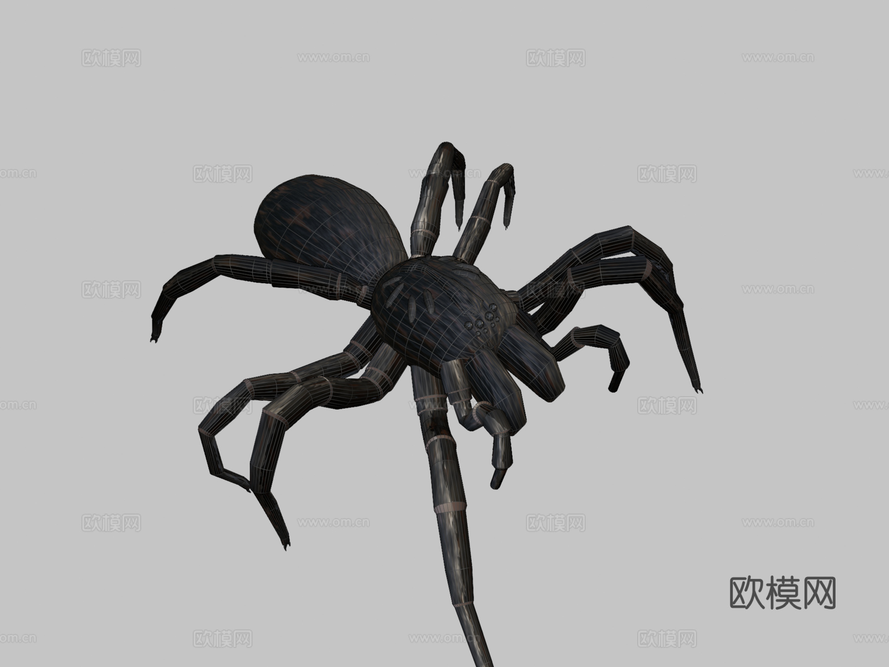 恐怖蜘蛛3d模型