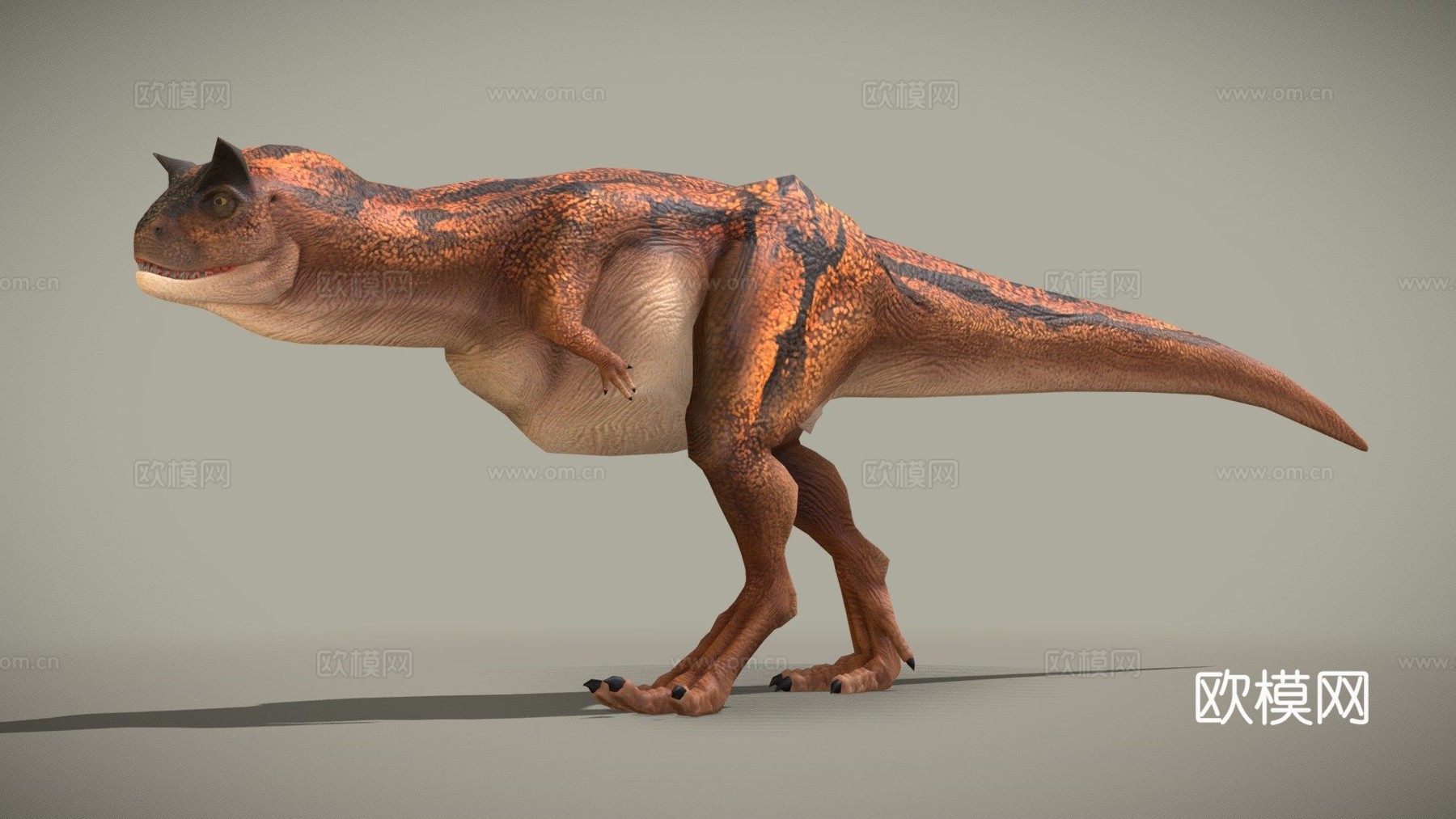 卡诺塔龙萨斯特雷3d模型