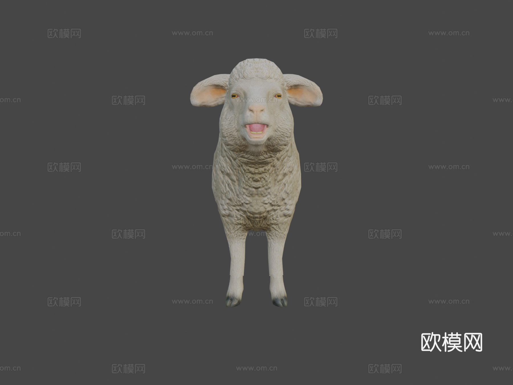 绵羊动画3d模型