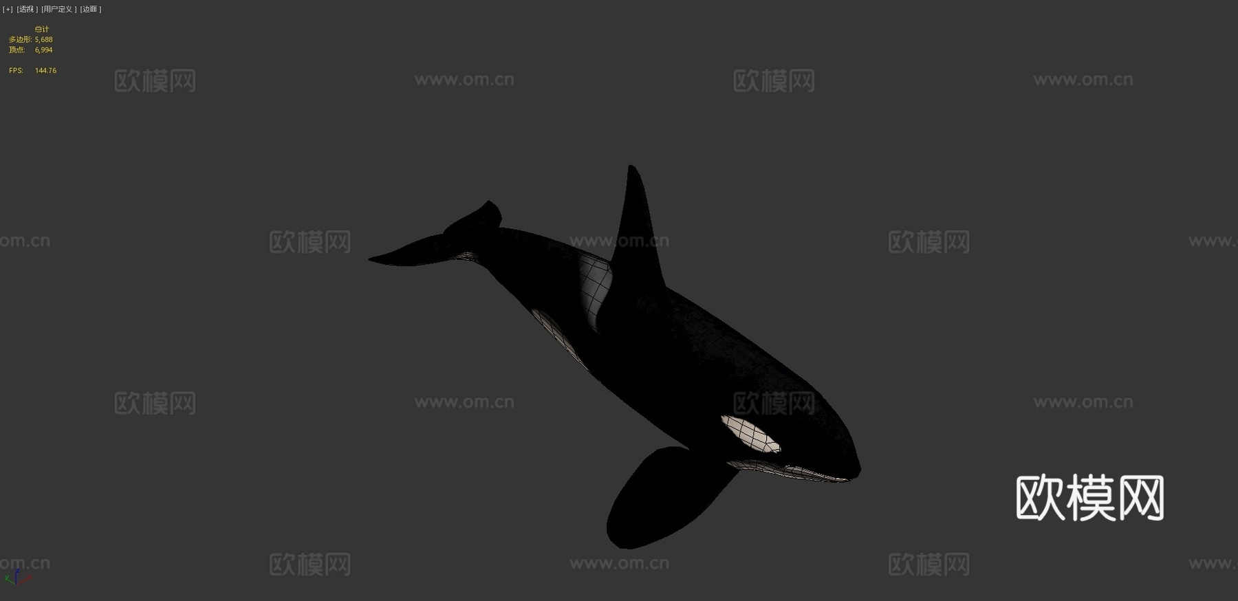 虎鲸(逆戟鲸)-杀人鲸3d模型