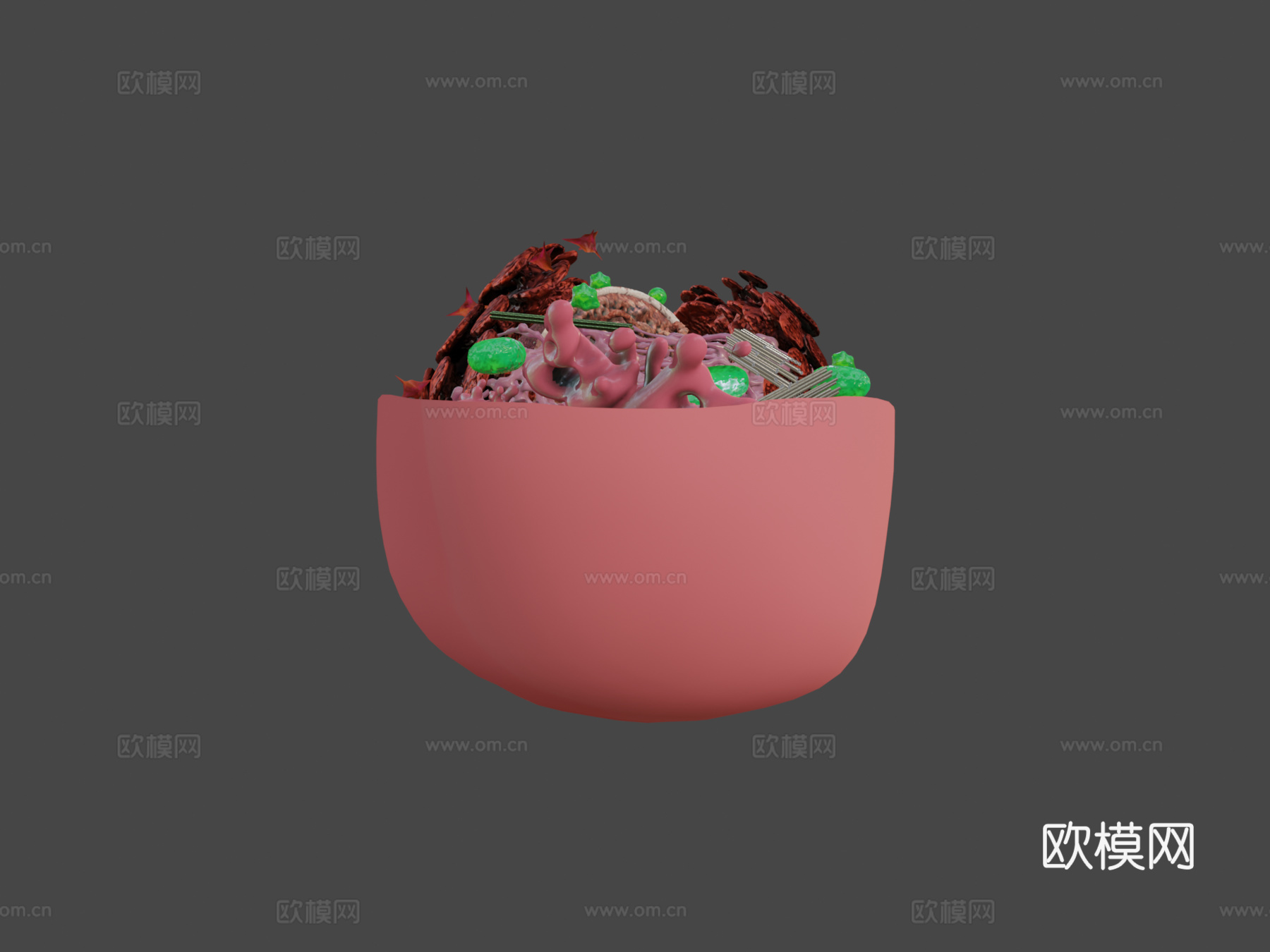 动物细胞3d模型
