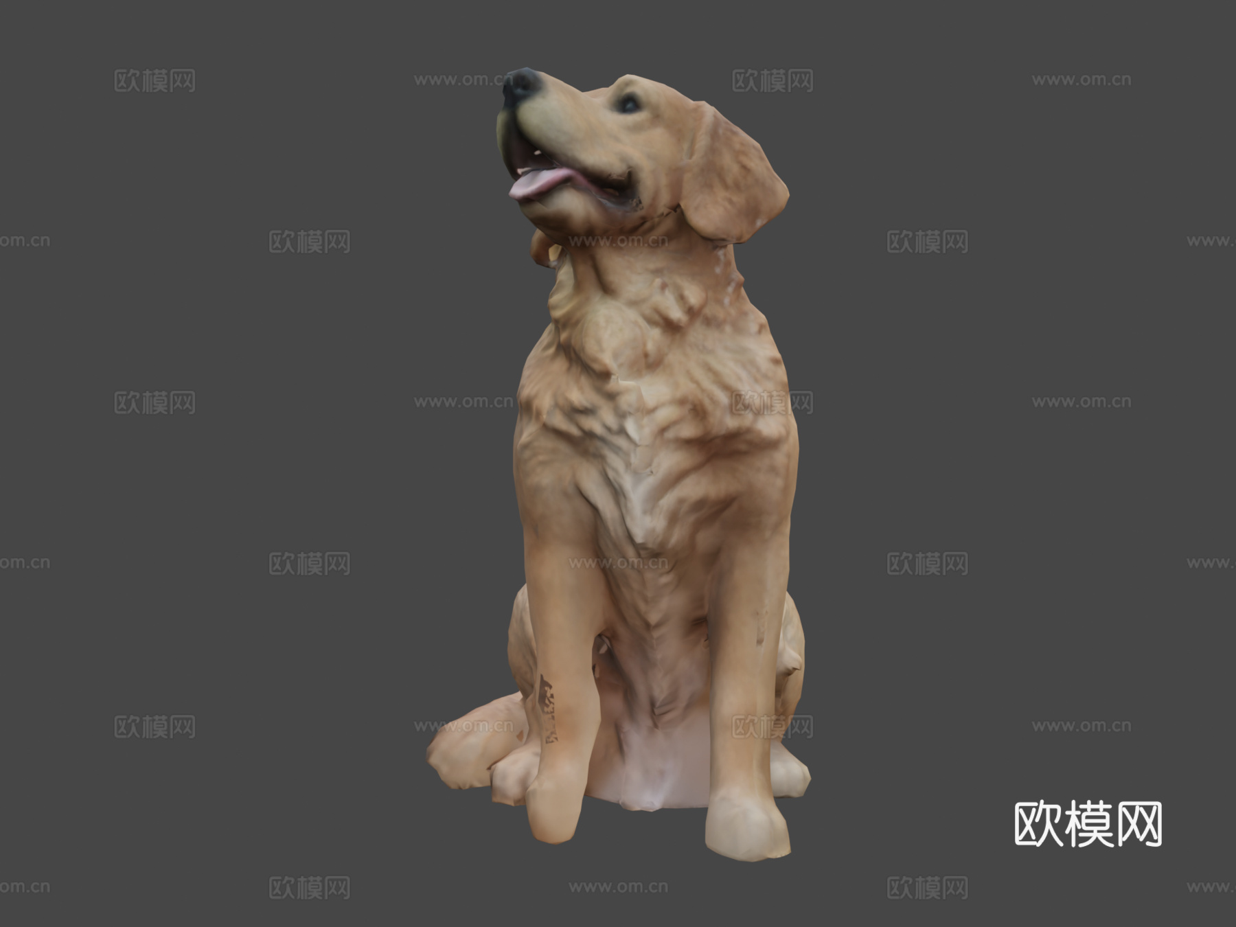 金毛寻回犬3d模型