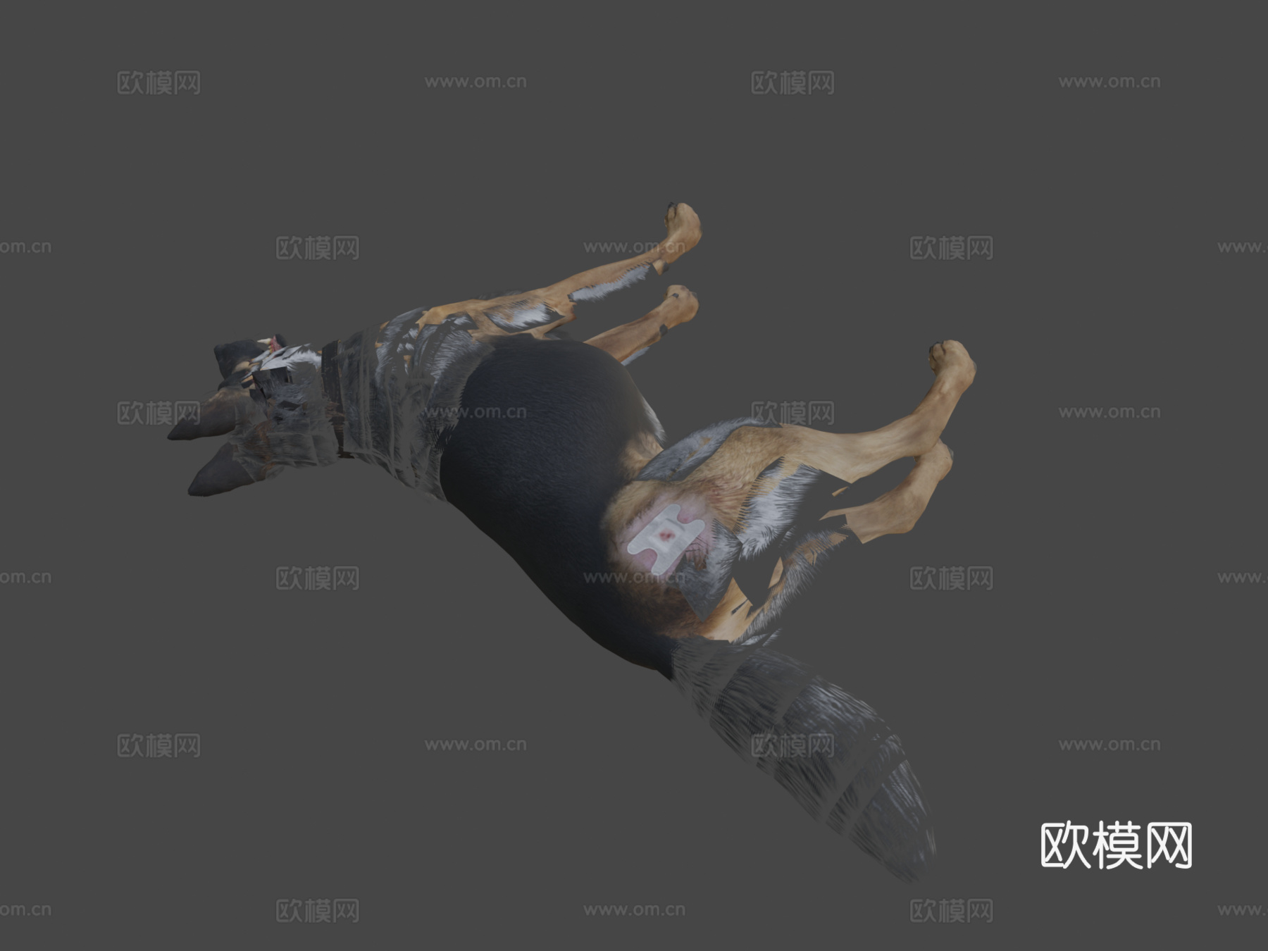 使命召唤-幽灵的军犬莱利3d模型