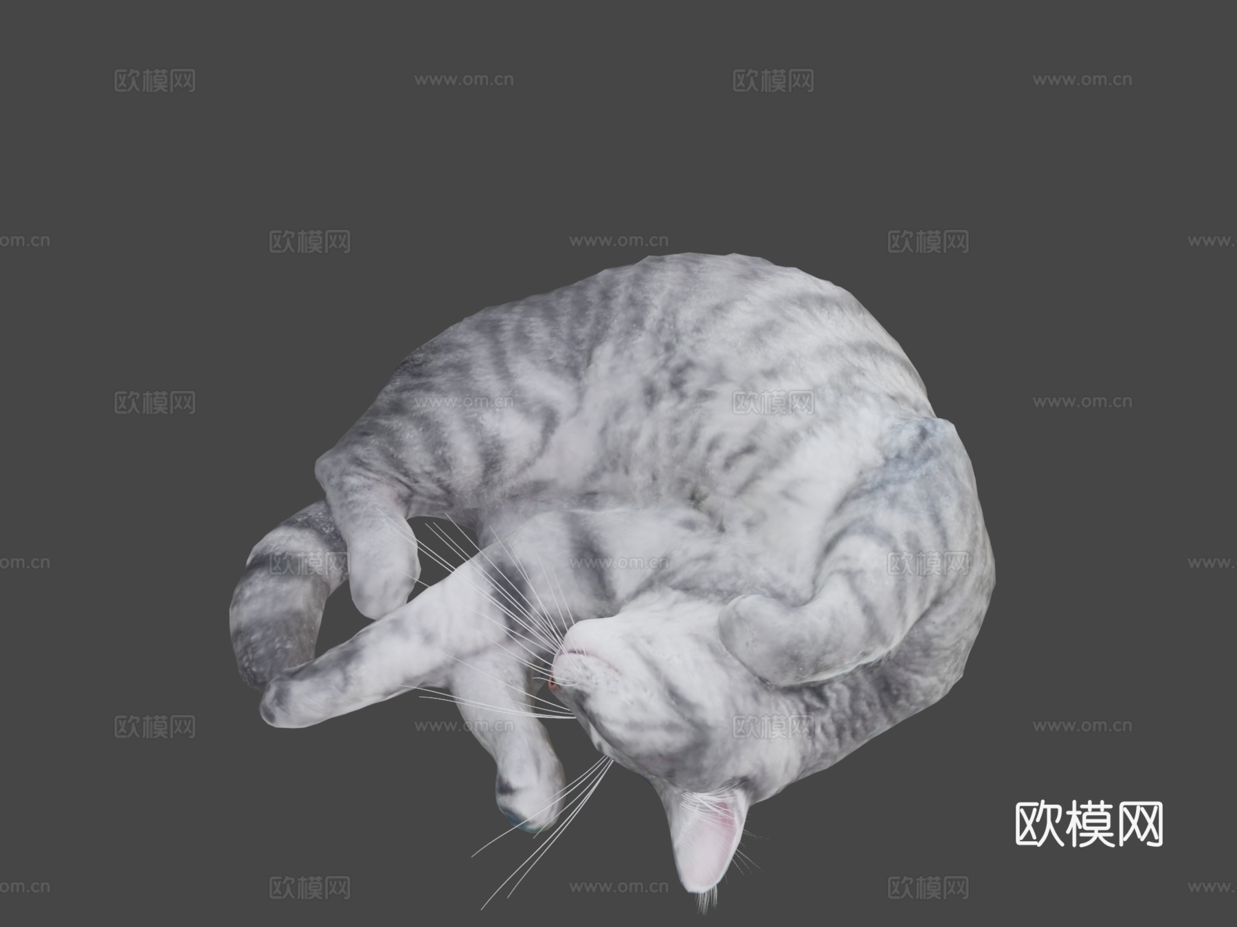 睡猫3d模型