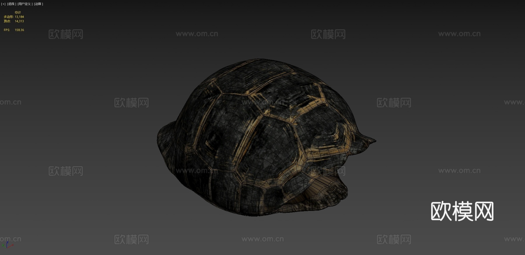 加拉帕戈斯象龟3d模型
