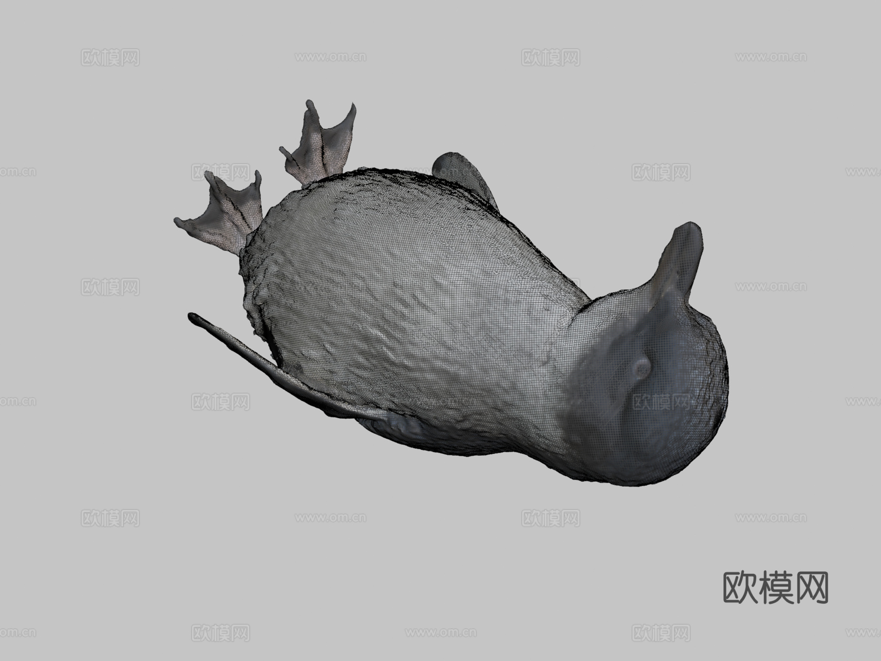 小蓝企鹅-科罗拉3d模型