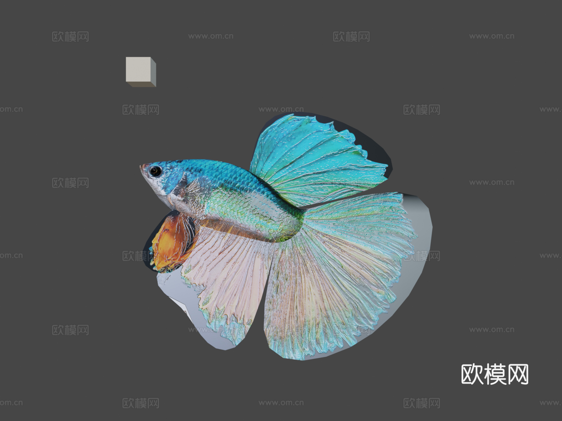 斗鱼3d模型