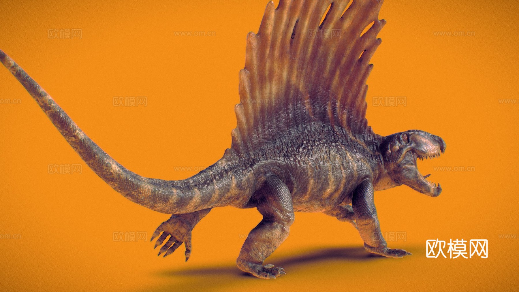 异齿龙3d模型