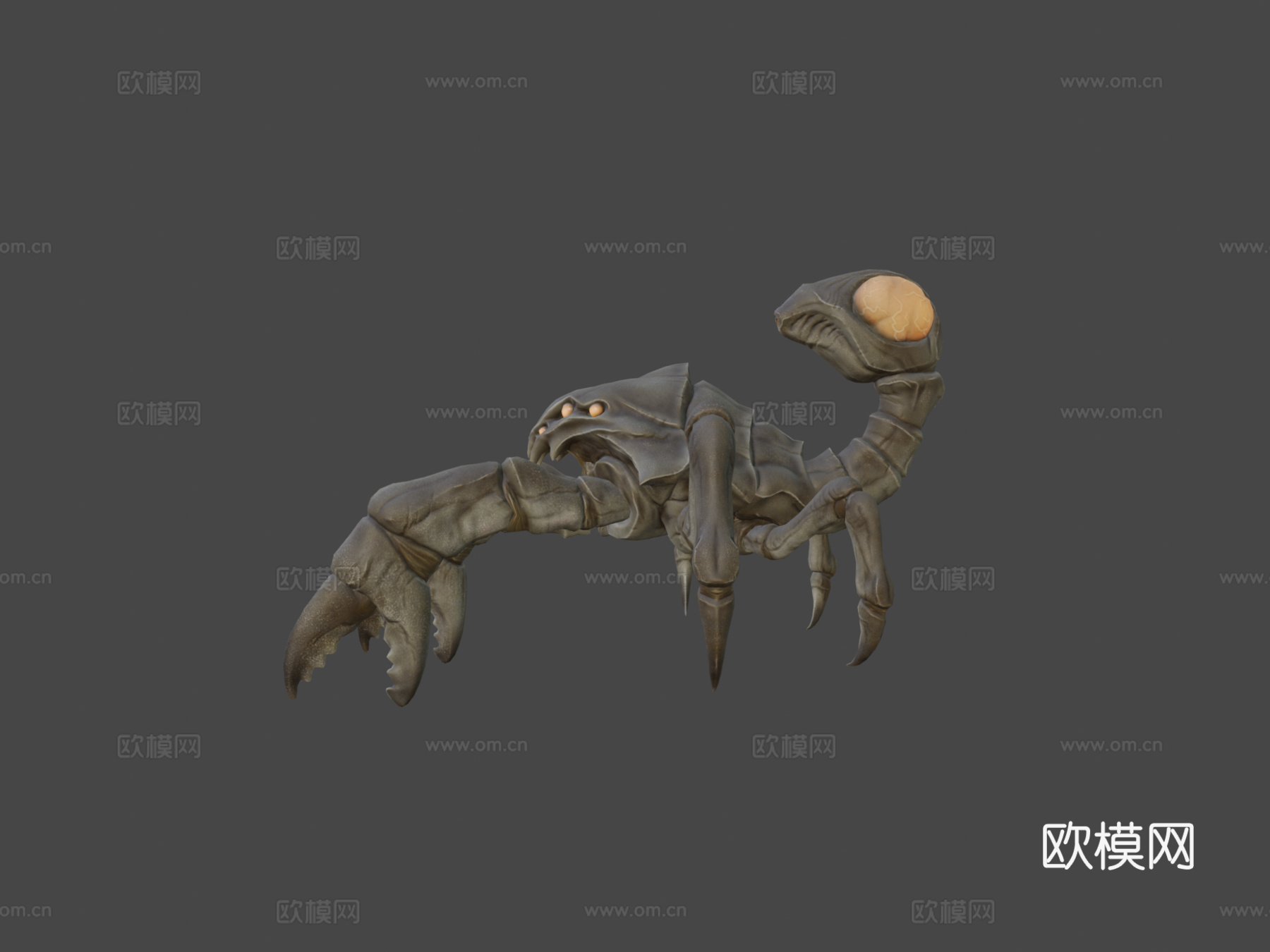 卡西顿动画3d模型