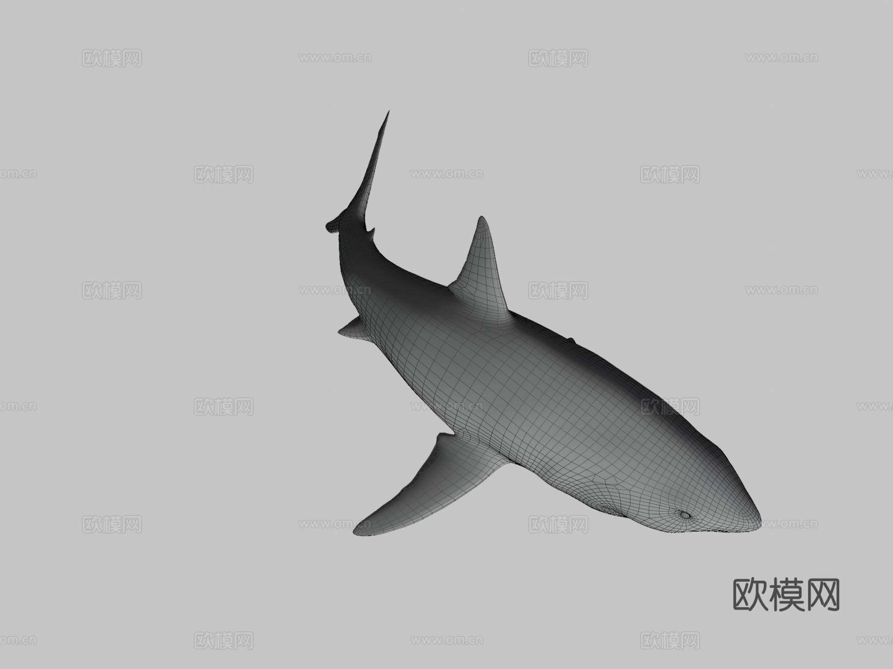 大白鲨-绑定与动画3d模型