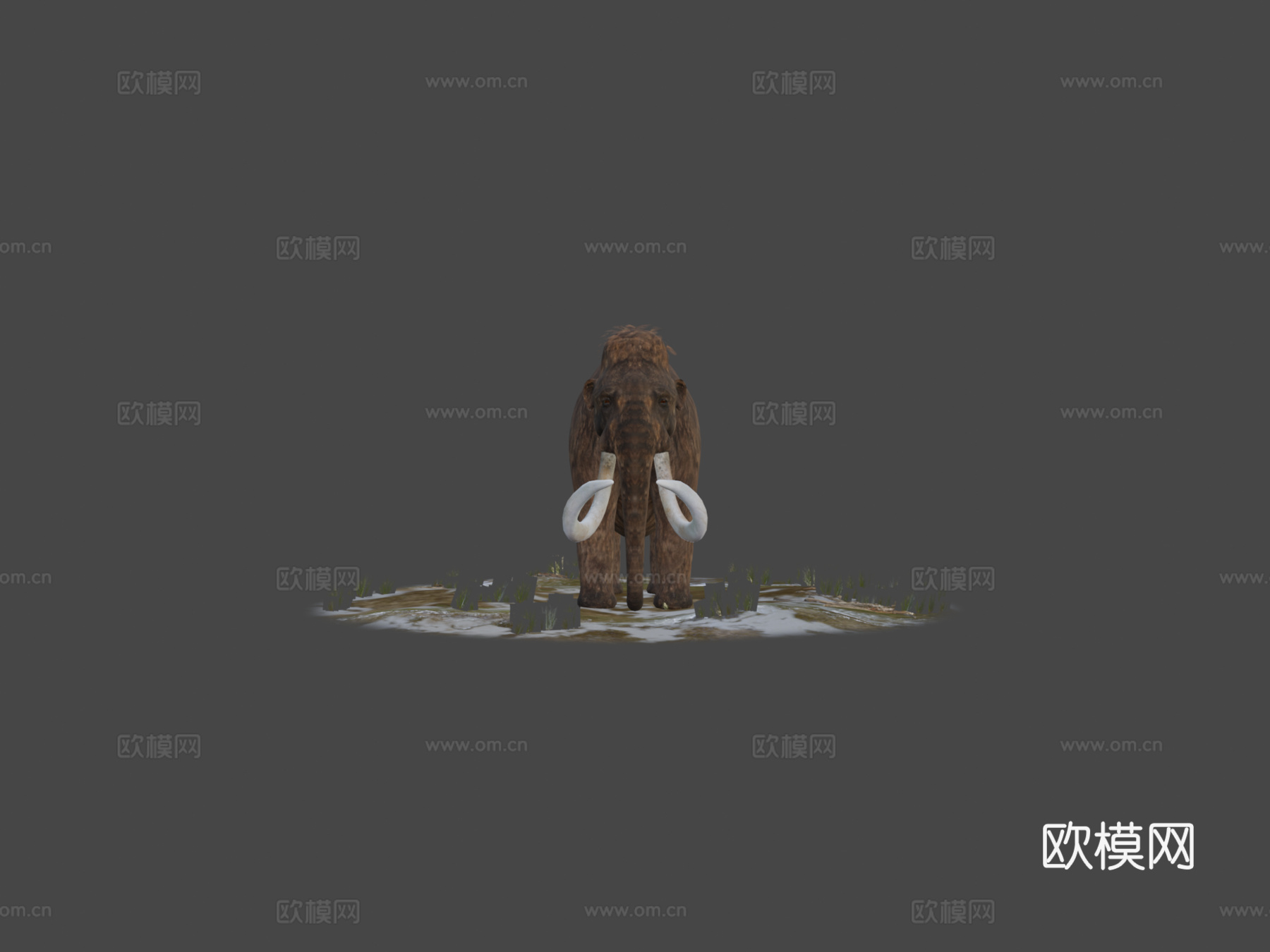 猛犸象3d模型