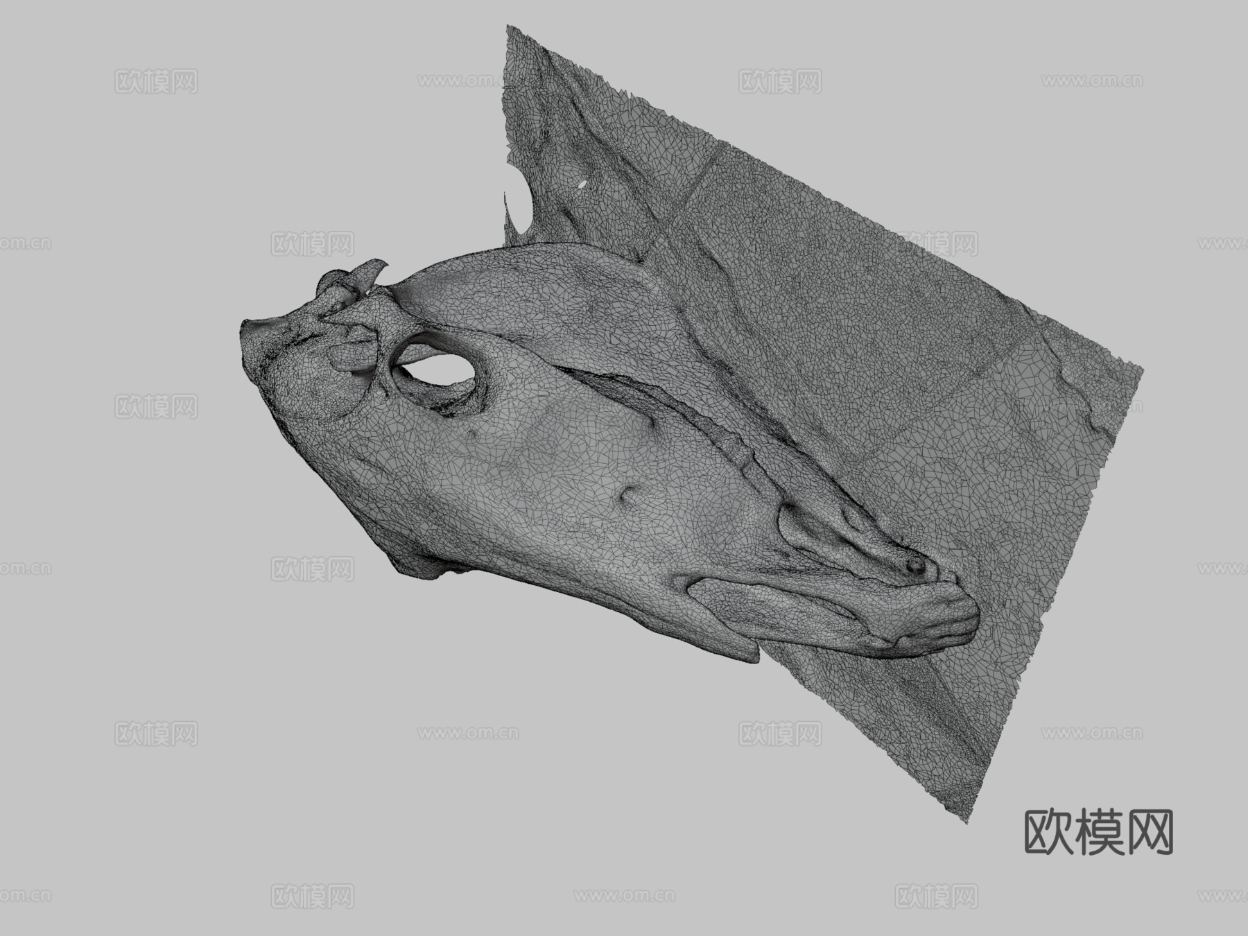 马头骨3d模型
