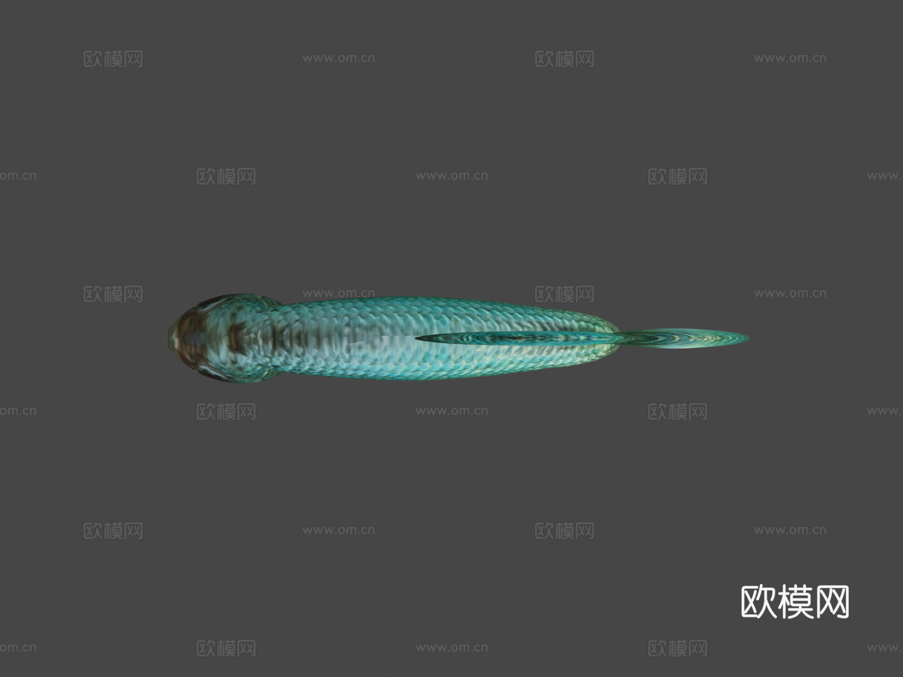 蓝色斗鱼3d模型