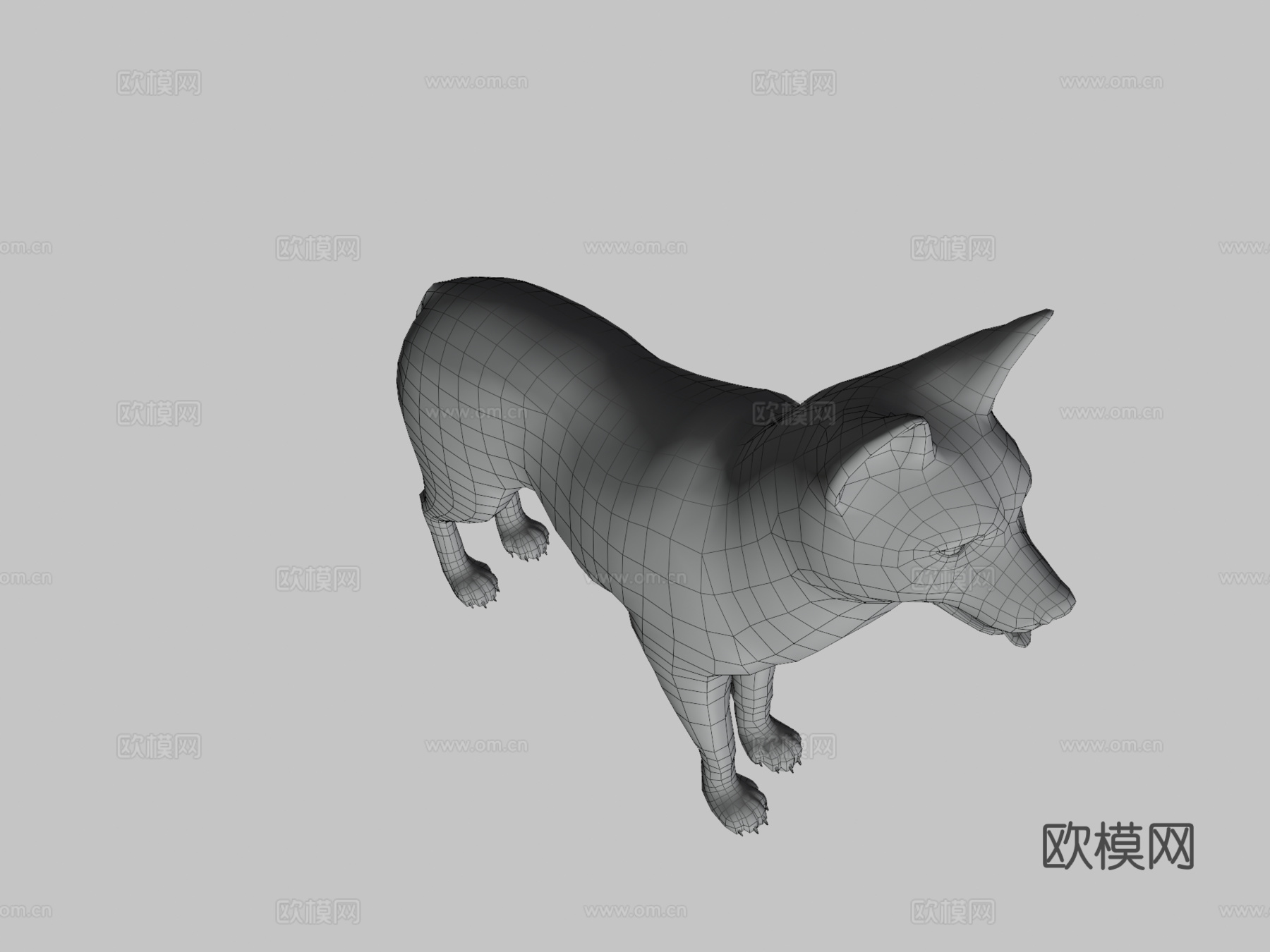 哈士奇犬3d模型