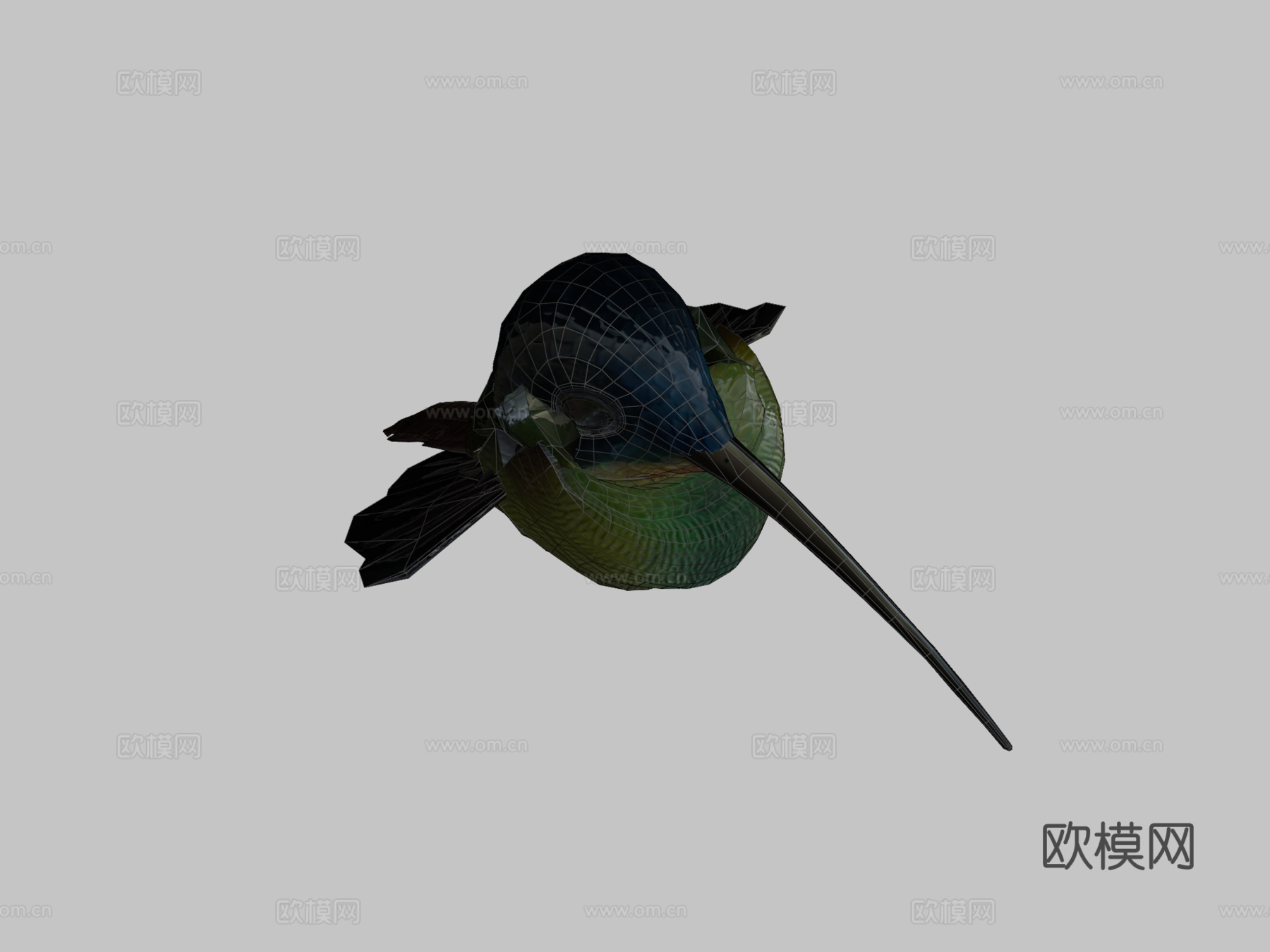 动画悬停飞行蜂鸟循环3d模型