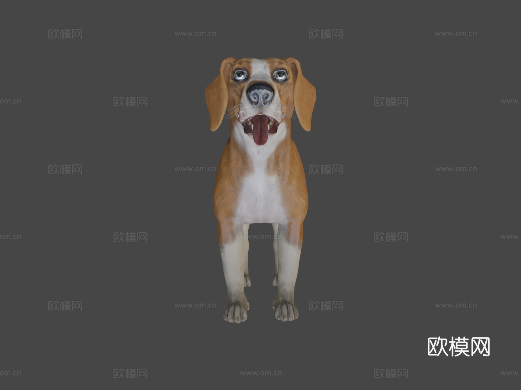 狗-比格犬3d模型