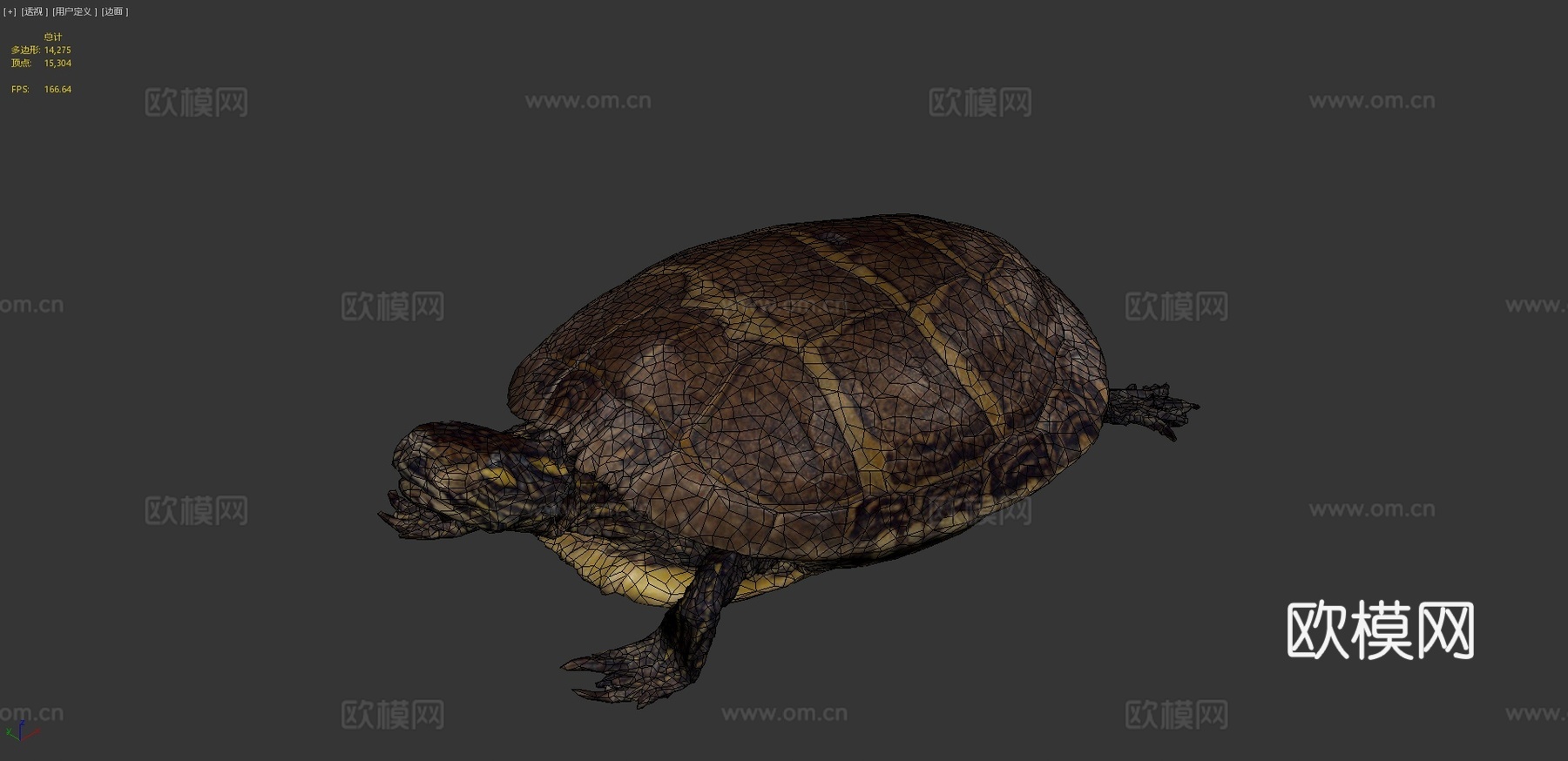乌龟由RISD自然实验室优化3d模型