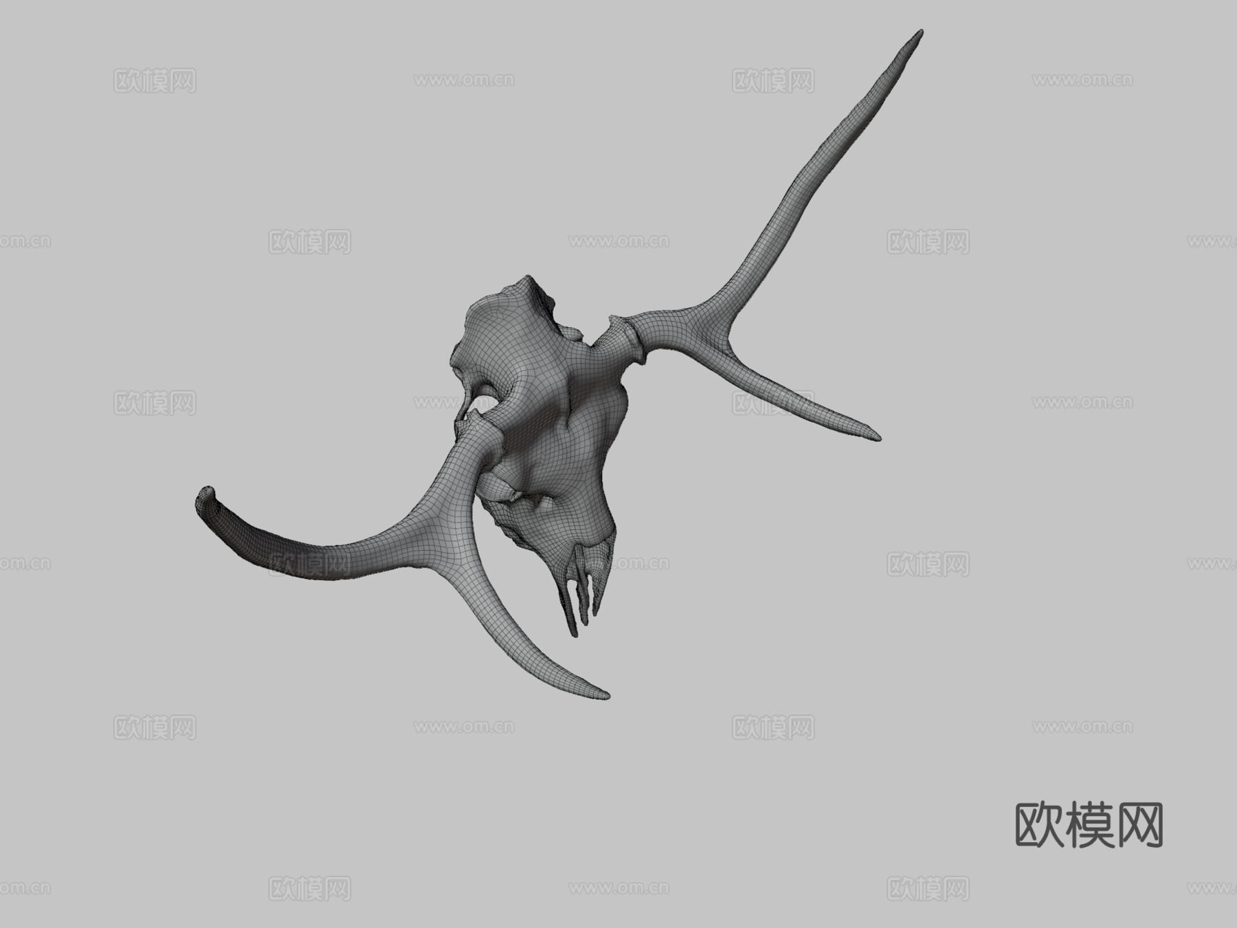 鹿头骨-照片扫描3d模型