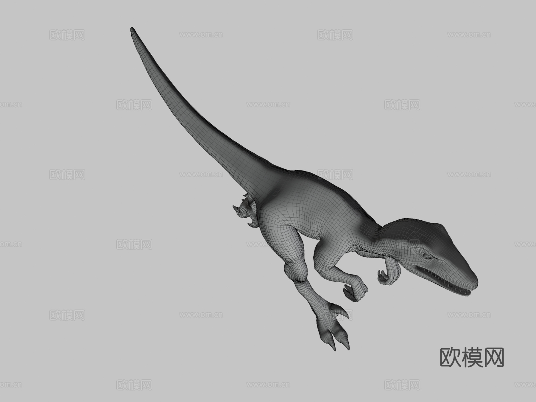迅猛龙3d模型