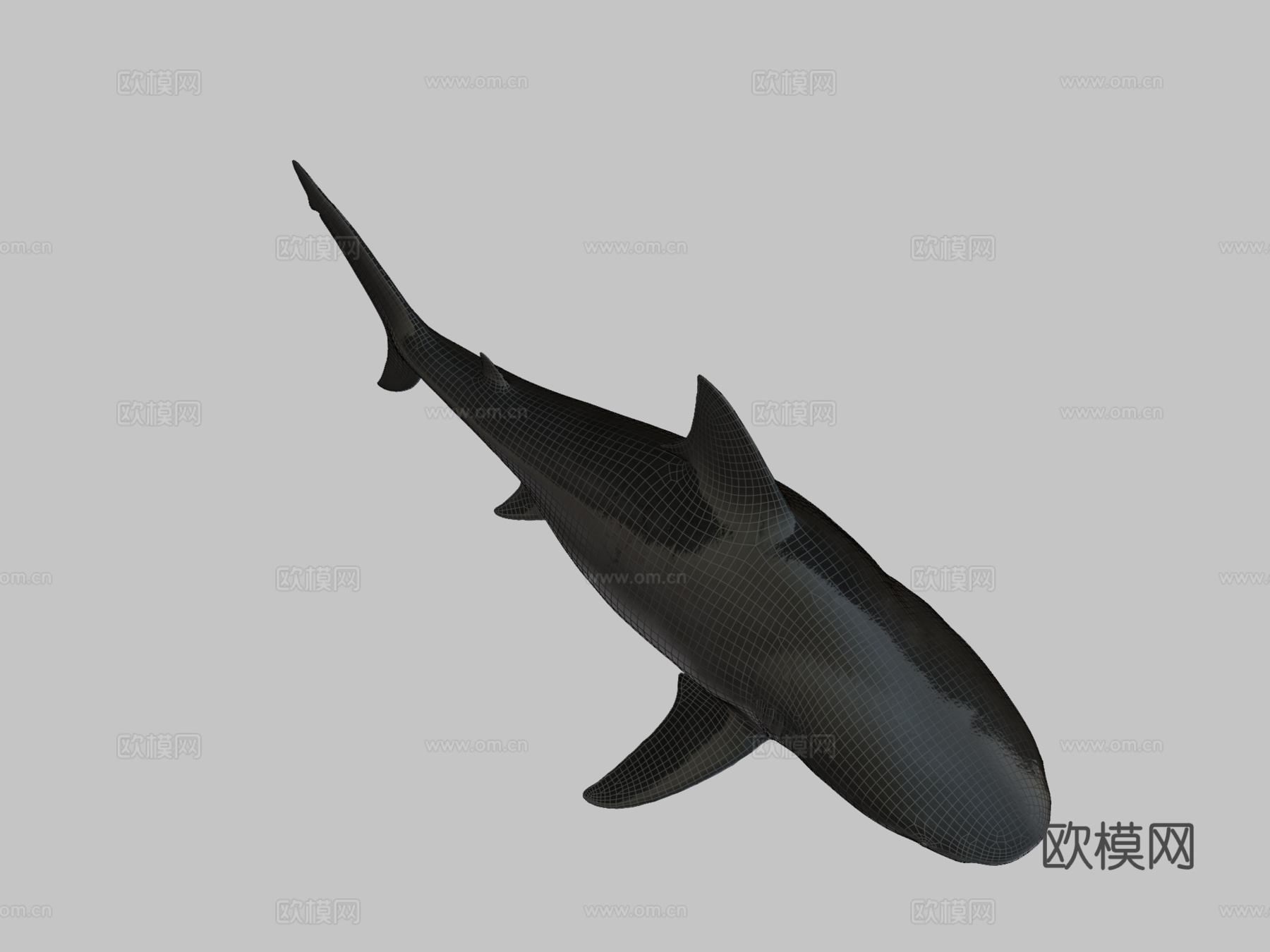 公牛鲨3d模型
