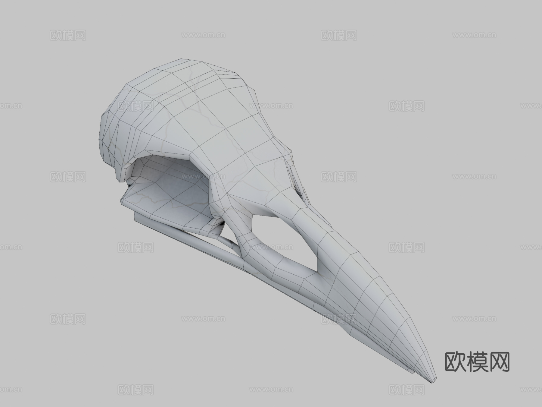 渡鸦头骨3d模型