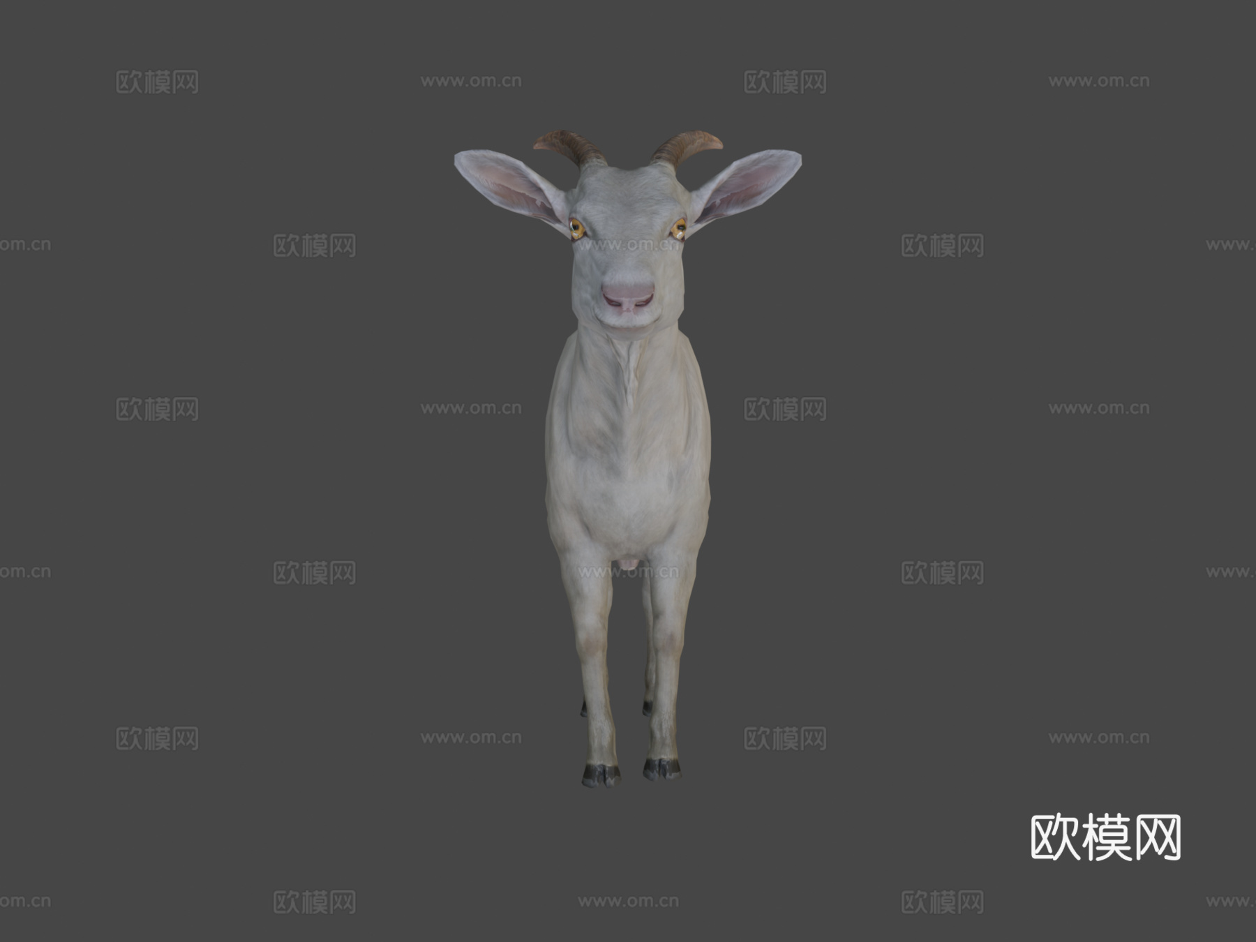 公山羊3d模型