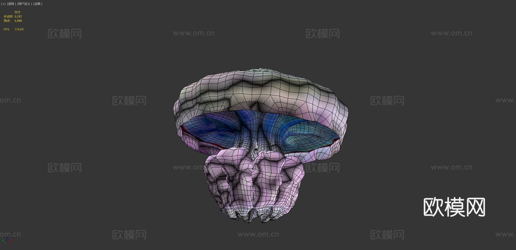 水母_0033d模型