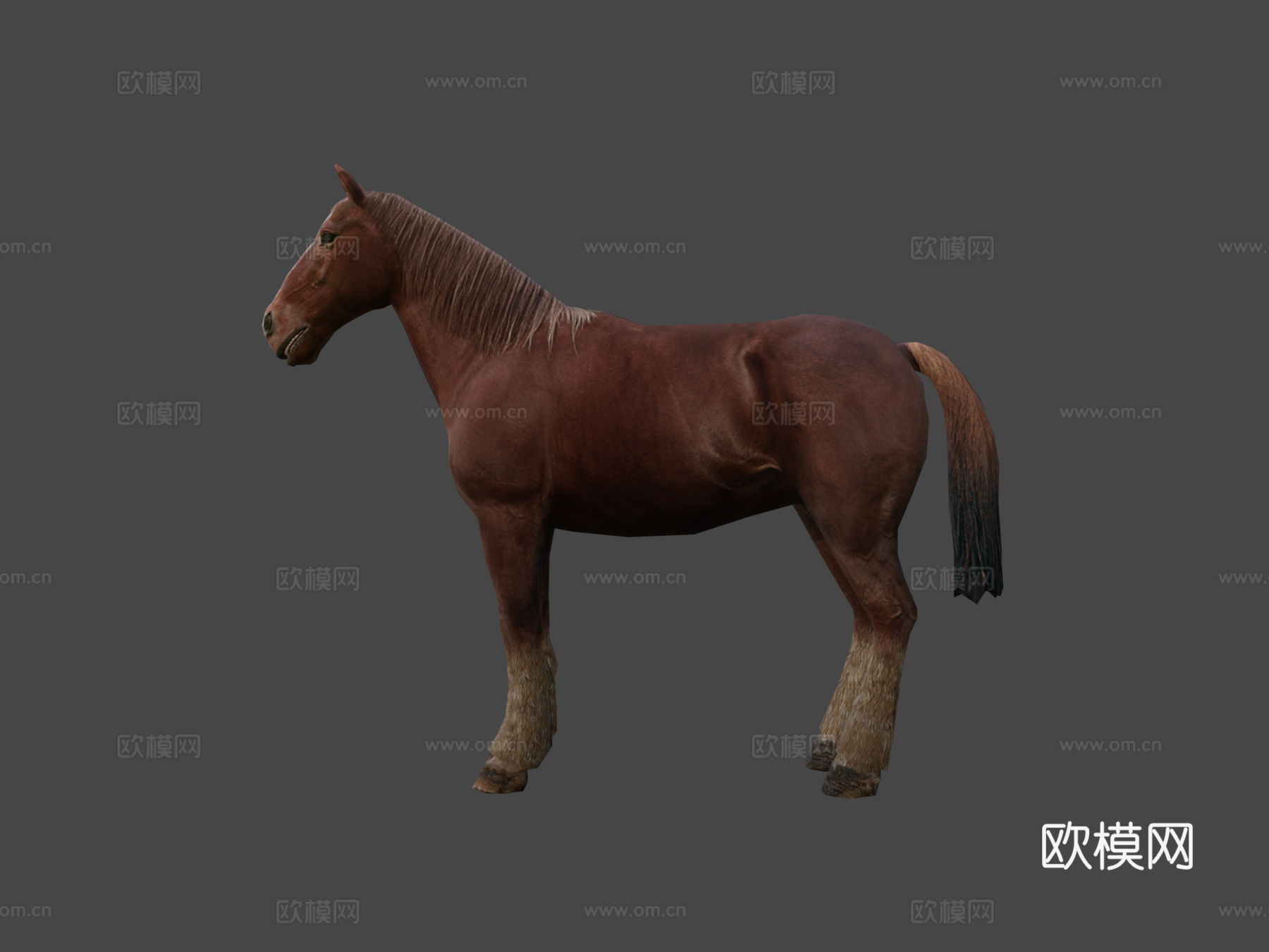 马绑定3d模型
