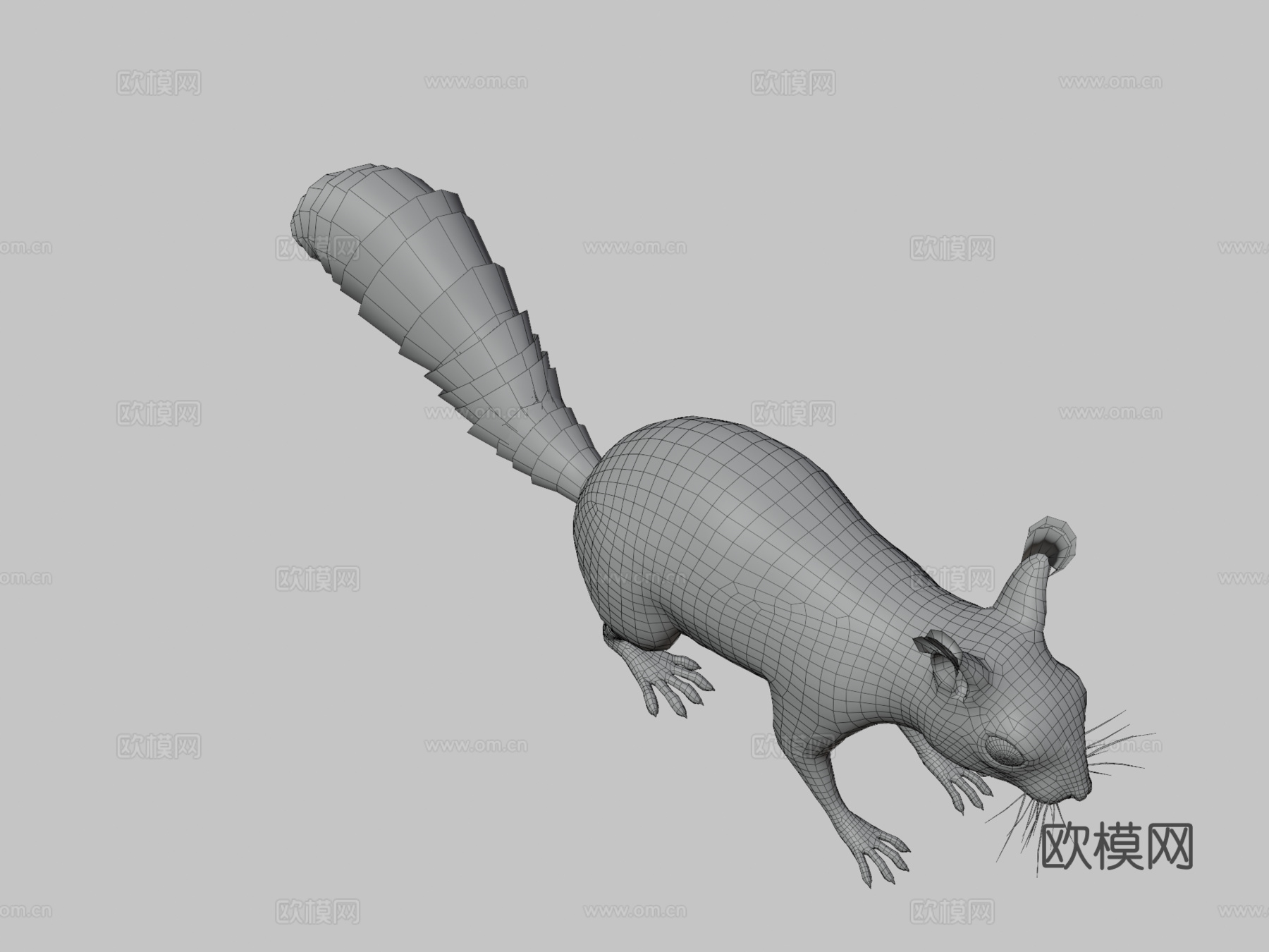 松鼠3d模型