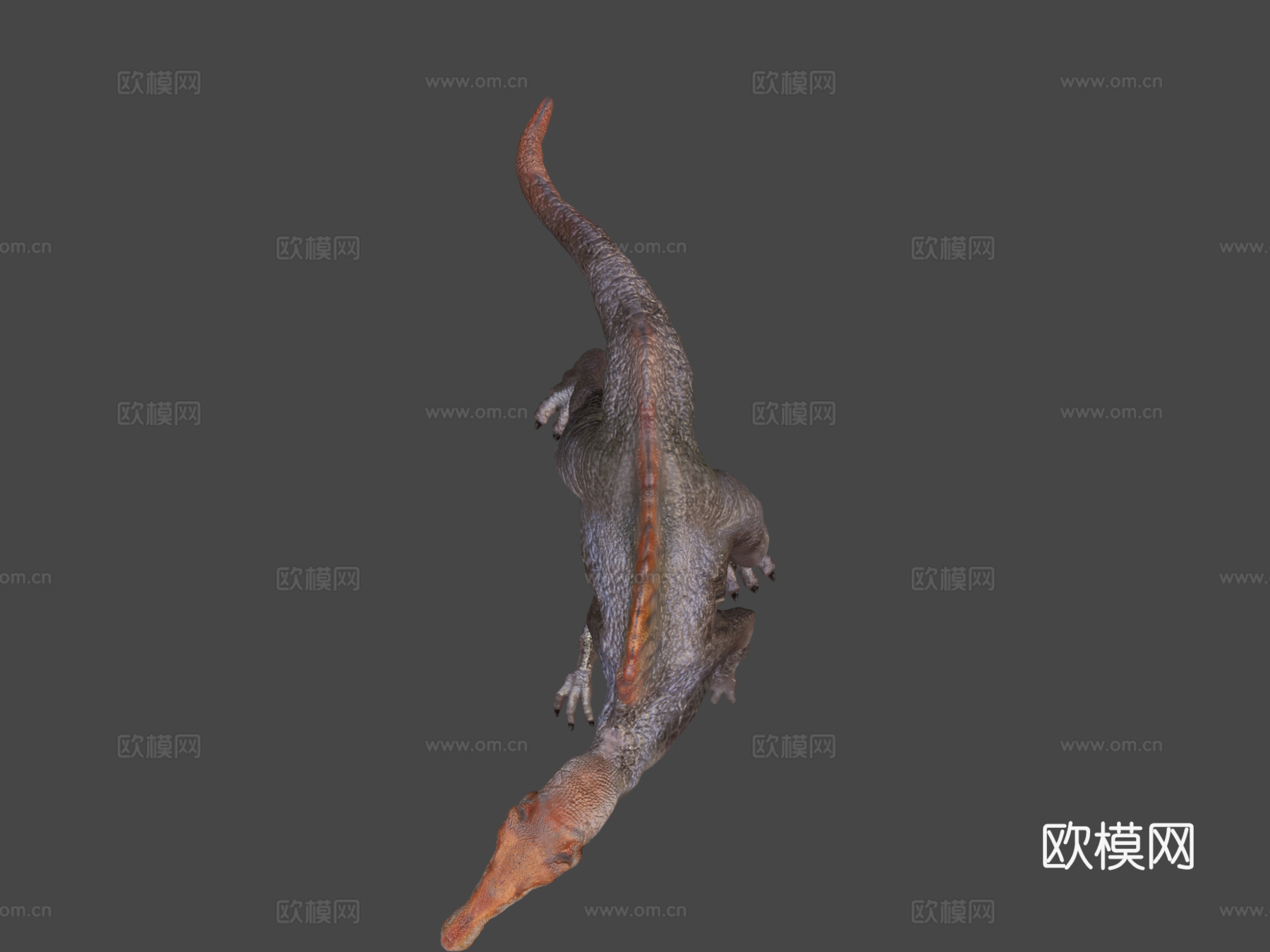 棘龙动画3d模型