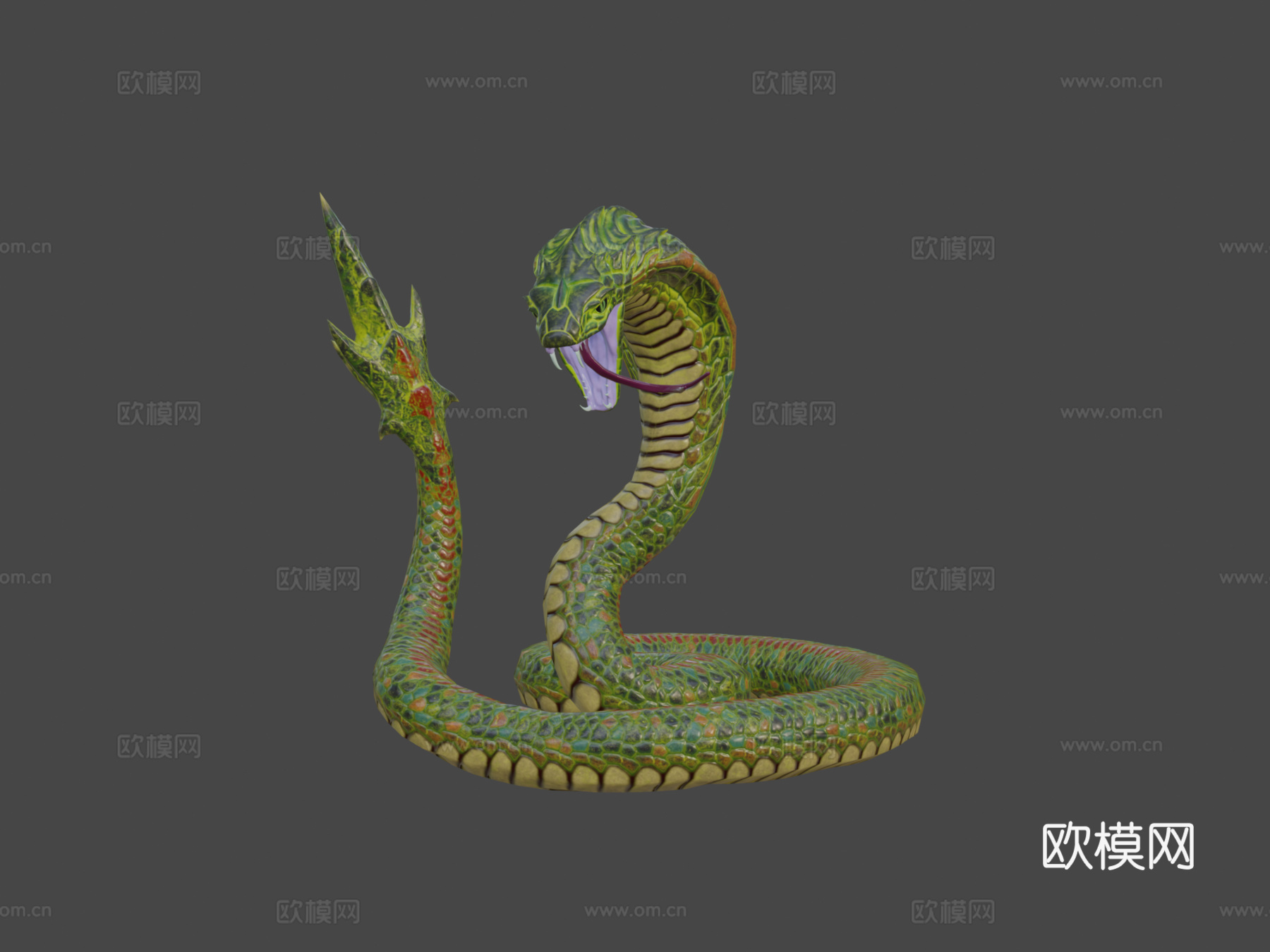 龙首眼镜蛇3d模型