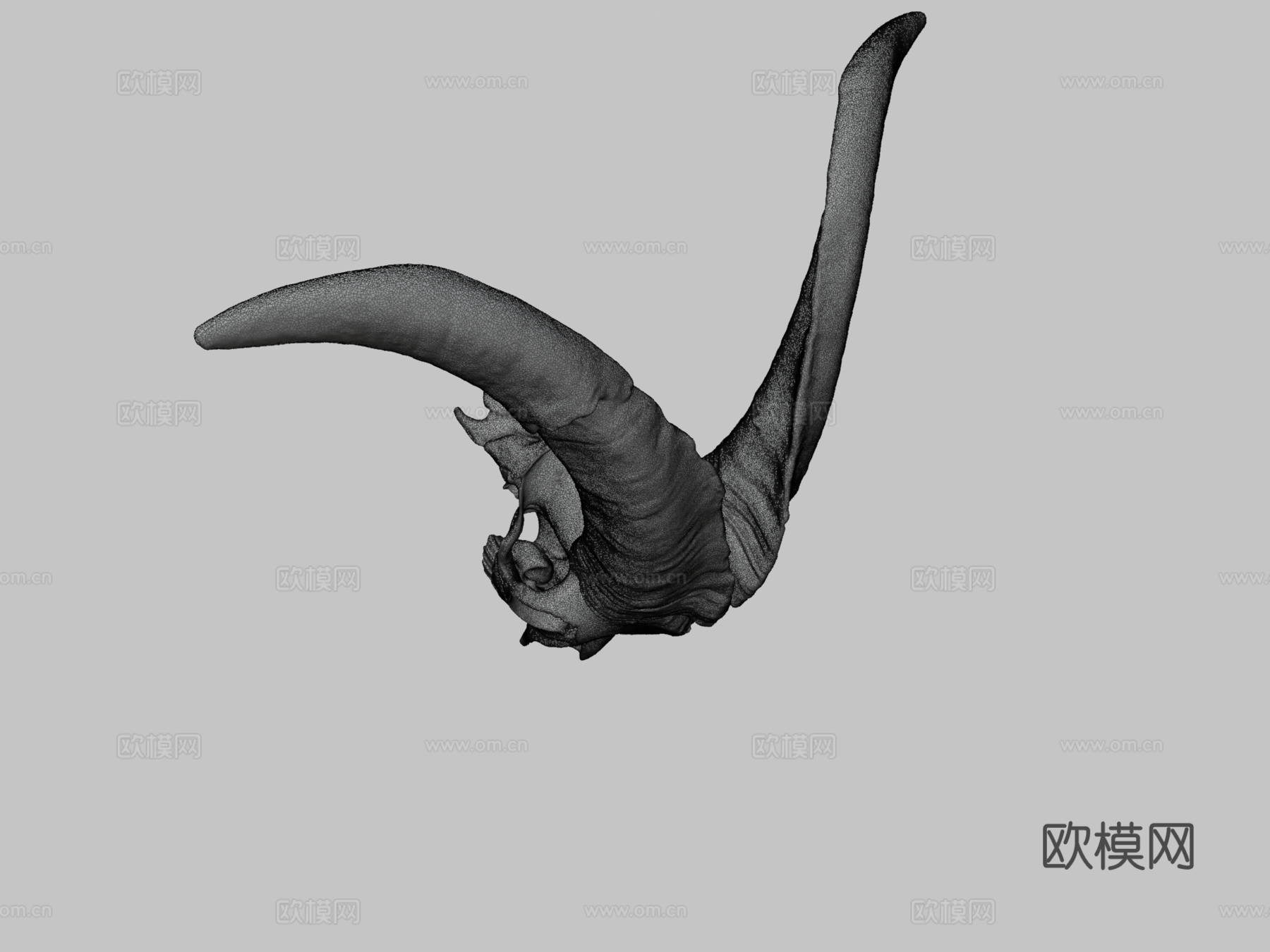 山羊头骨3d模型