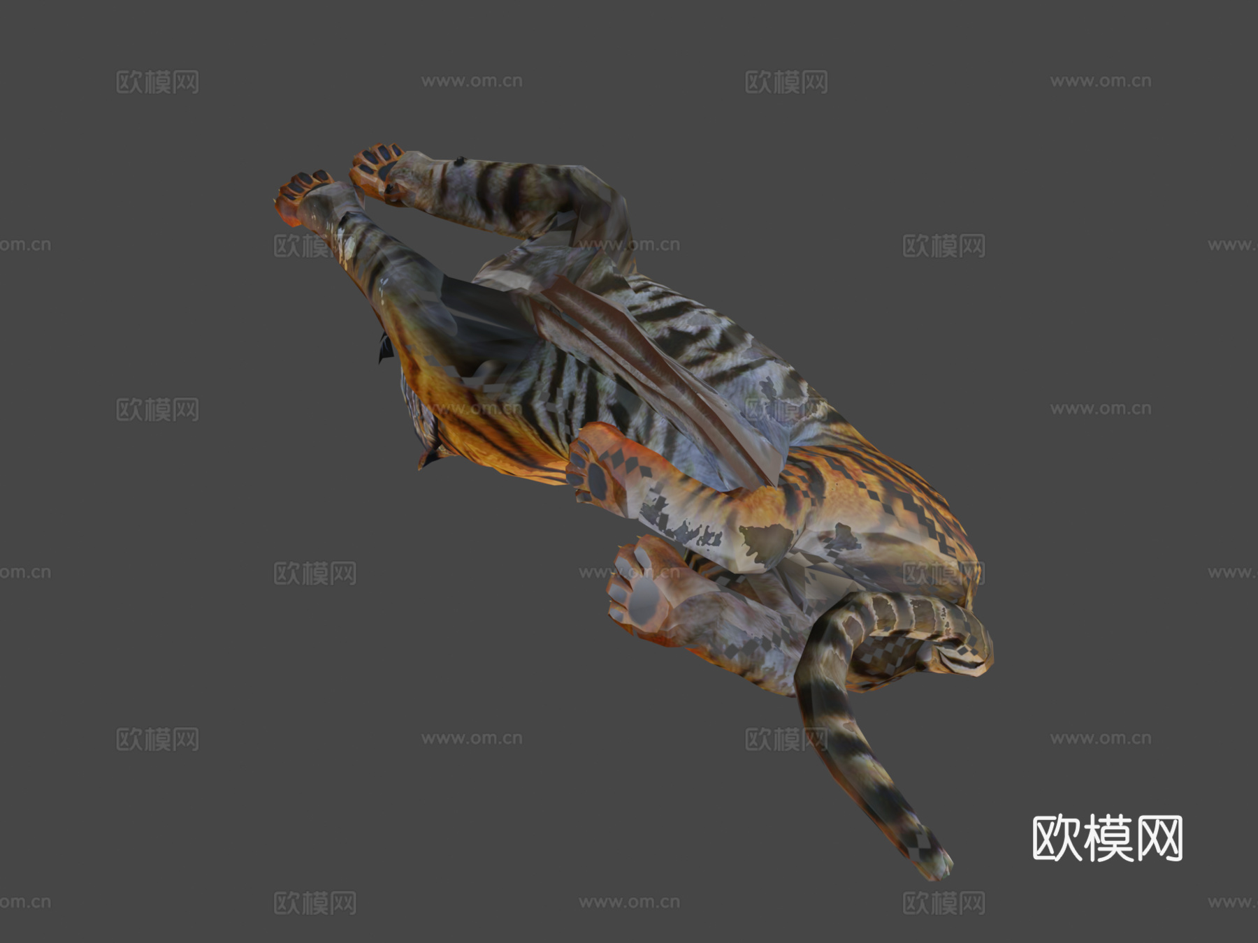 老虎攻击进食v01版(Unity引擎 谢哈布之家)3d模型