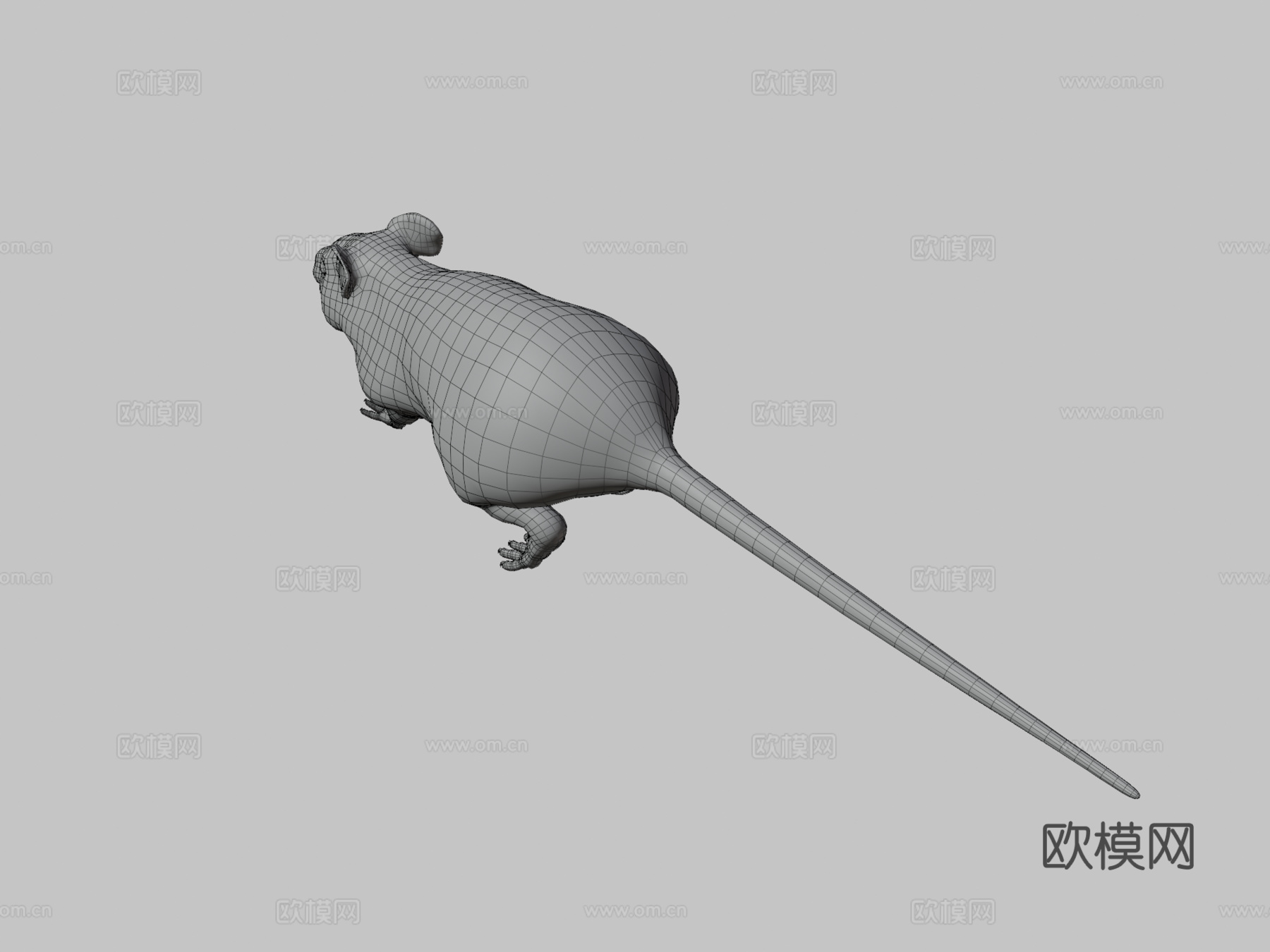 胖老鼠3d模型