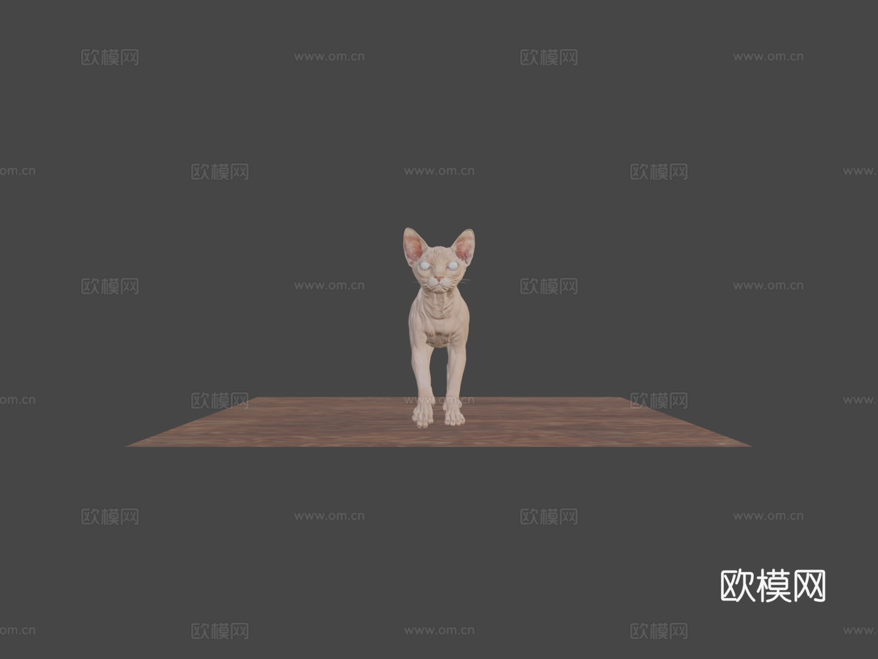 斯芬克斯无毛猫3d模型