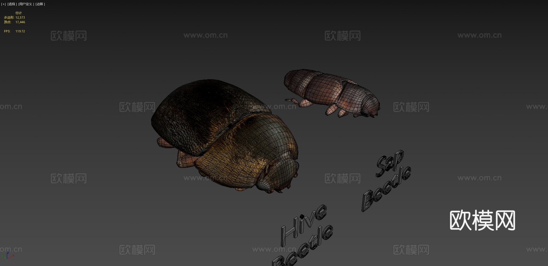 树汁与蜂甲虫对比3d模型