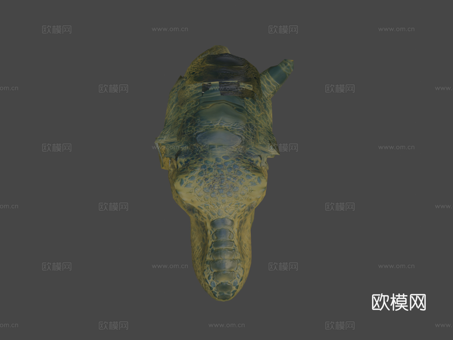 暴龙3.03d模型