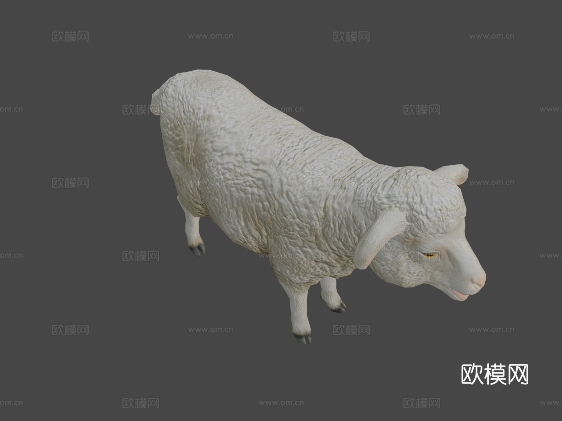 绵羊动画3d模型