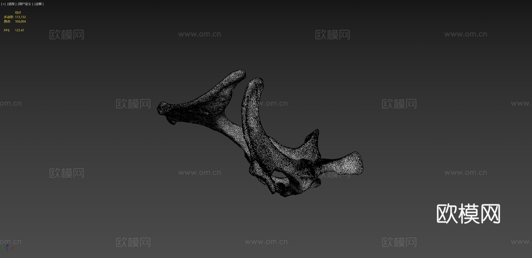 骨盆(髋骨)驴子3d模型